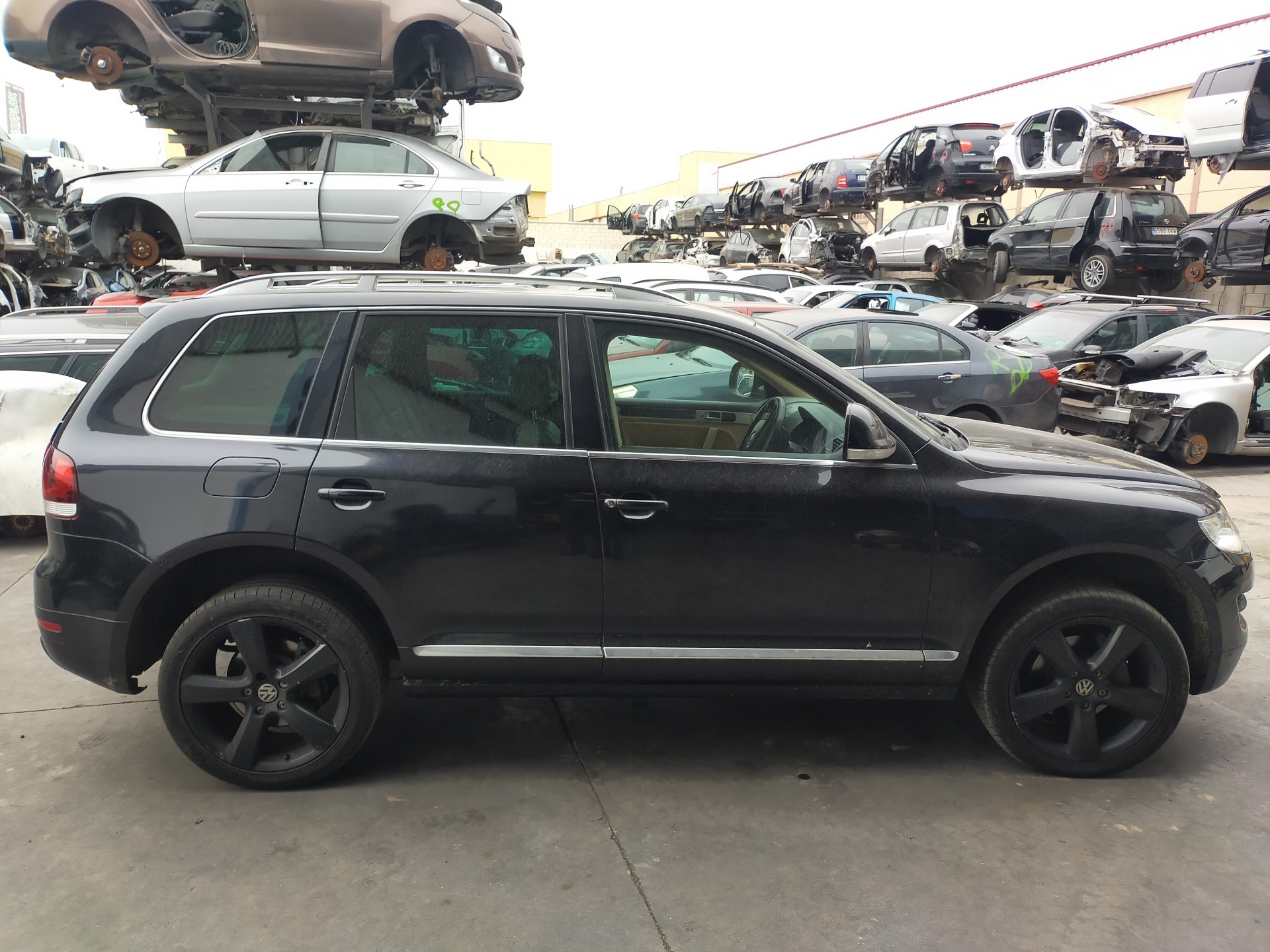 VOLKSWAGEN Touareg 1 generation (2002-2010) Démarreur 059911024H 25229351