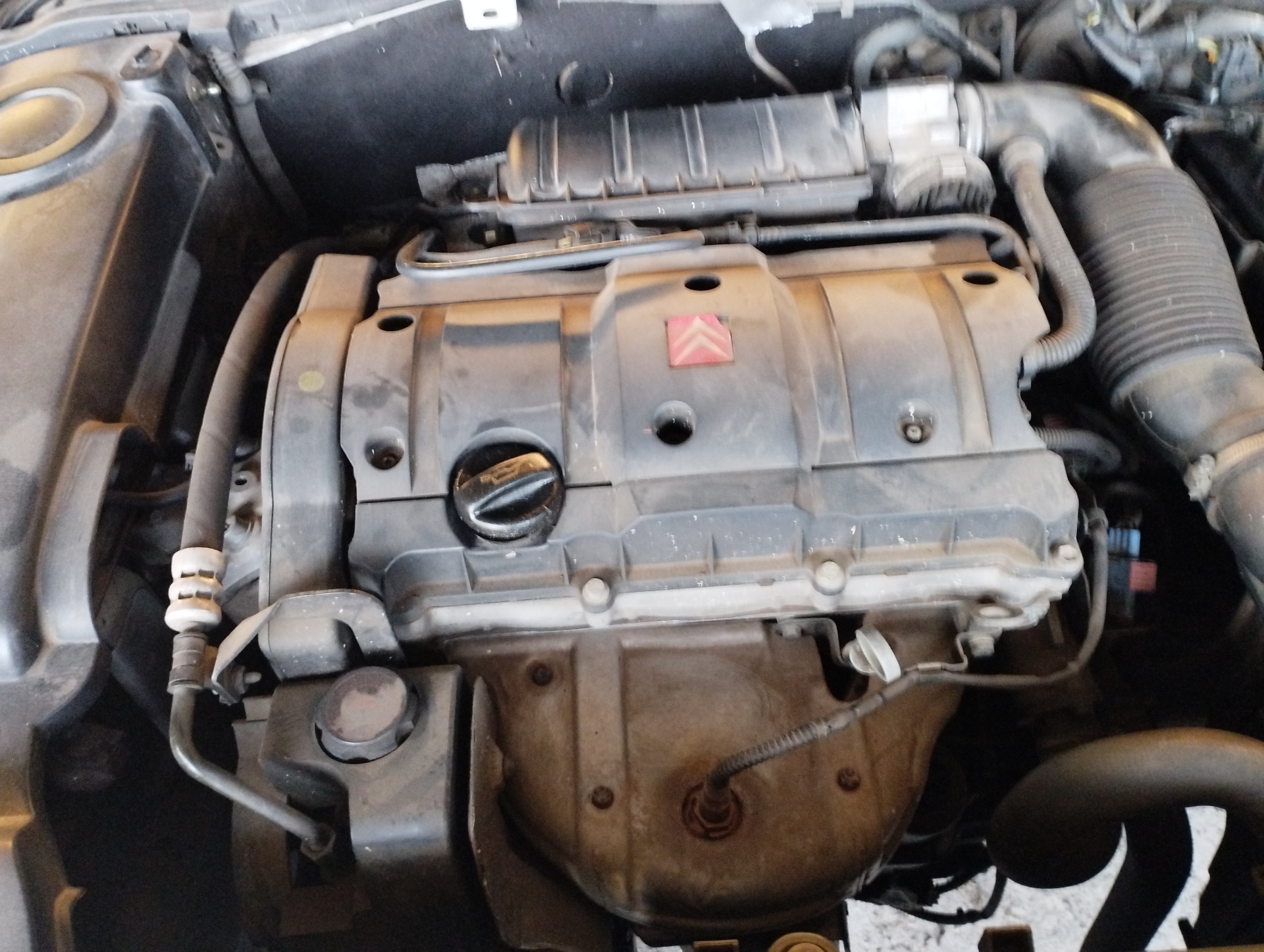 AUDI Xsara 1 generation (1997-2004) Motor (Slovak) NFU 23042498