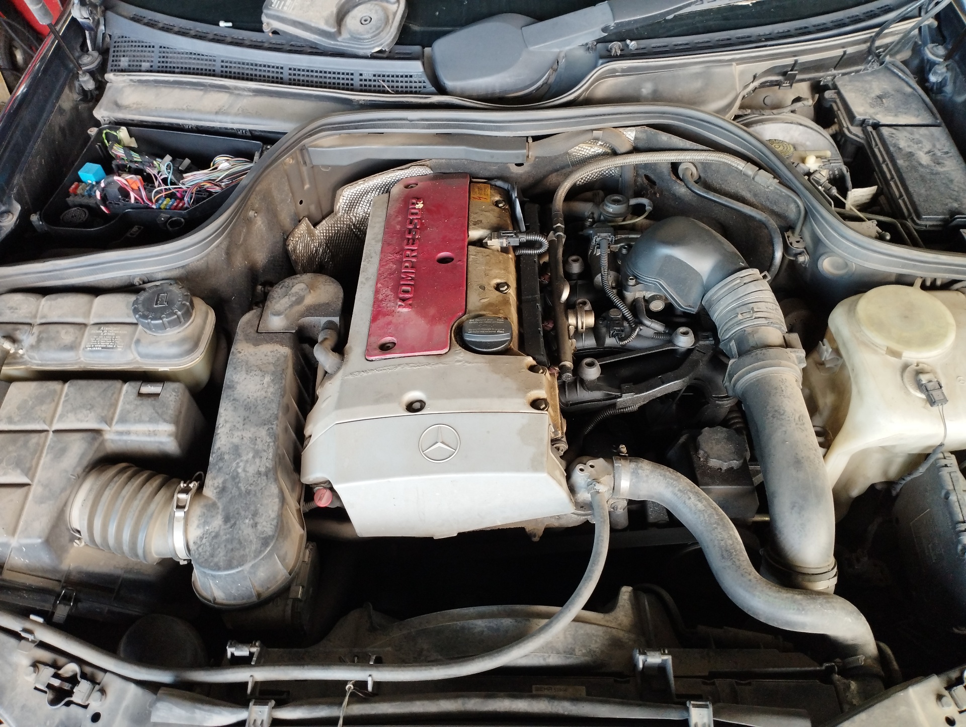 MERCEDES-BENZ CLK AMG GTR C297 (1997-1999) Двигатель M111956 22779623