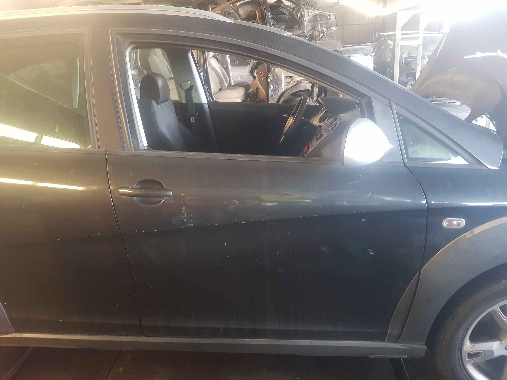 SEAT Altea 1 generation (2004-2013) Front Right Door 25235263