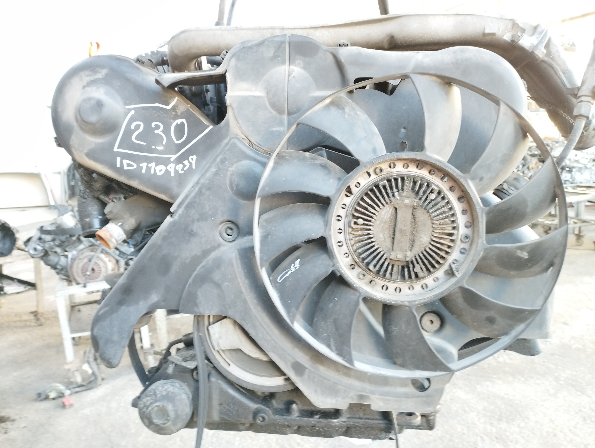 ALFA ROMEO GTV 916 (1995-2006) Engine AFB 24699713