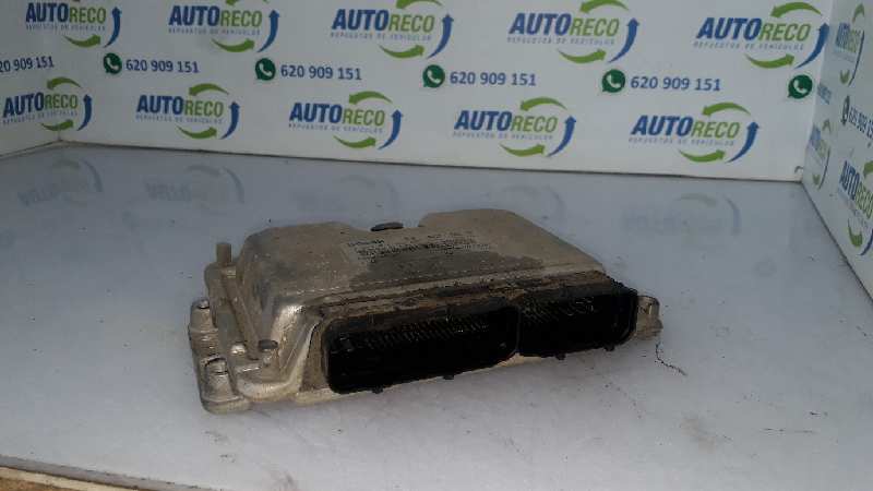 RENAULT Megane 2 generation (2002-2012) Motorkontrollenhet ECU 0281010442, 8200199726 25957463