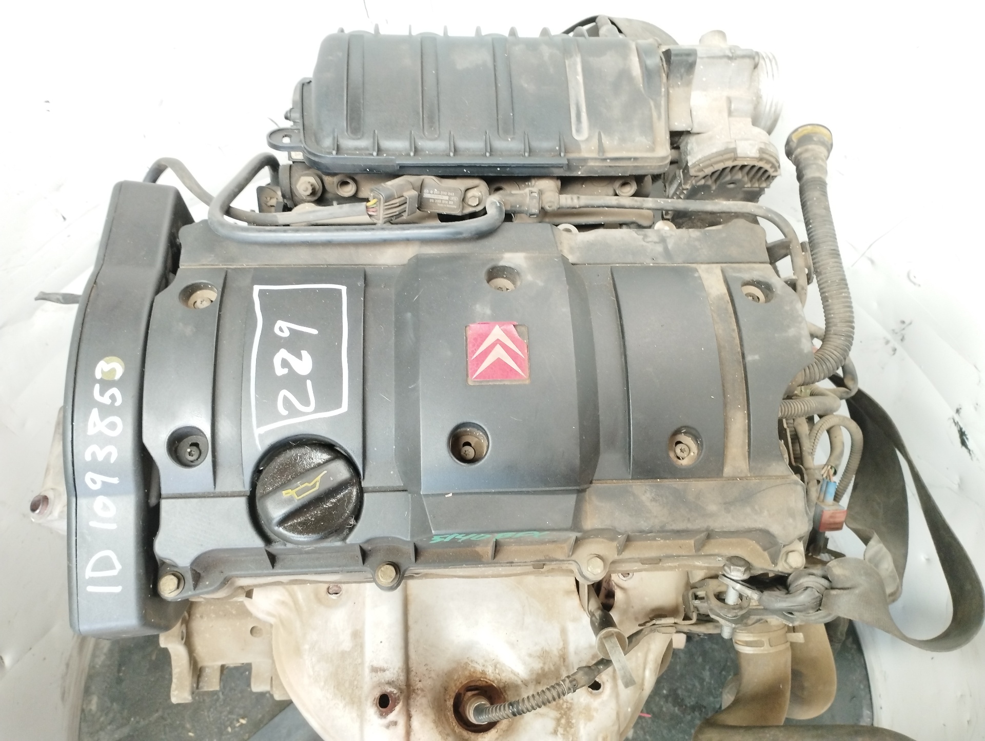 AUDI Xsara 1 generation (1997-2004) Motor (Slovak) NFU 23042498