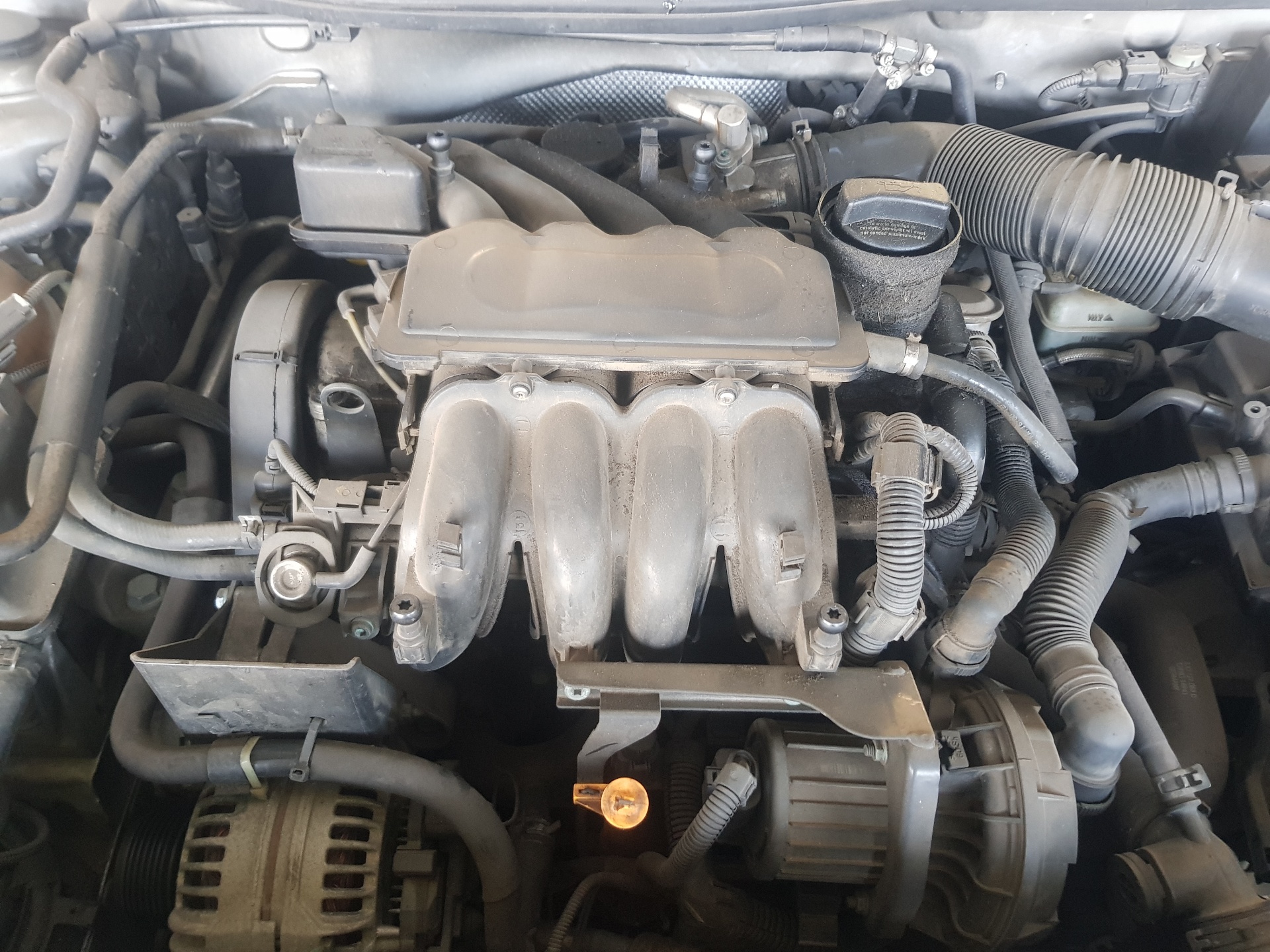 ALFA ROMEO A3 8L (1996-2003) Engine AVU 24699714