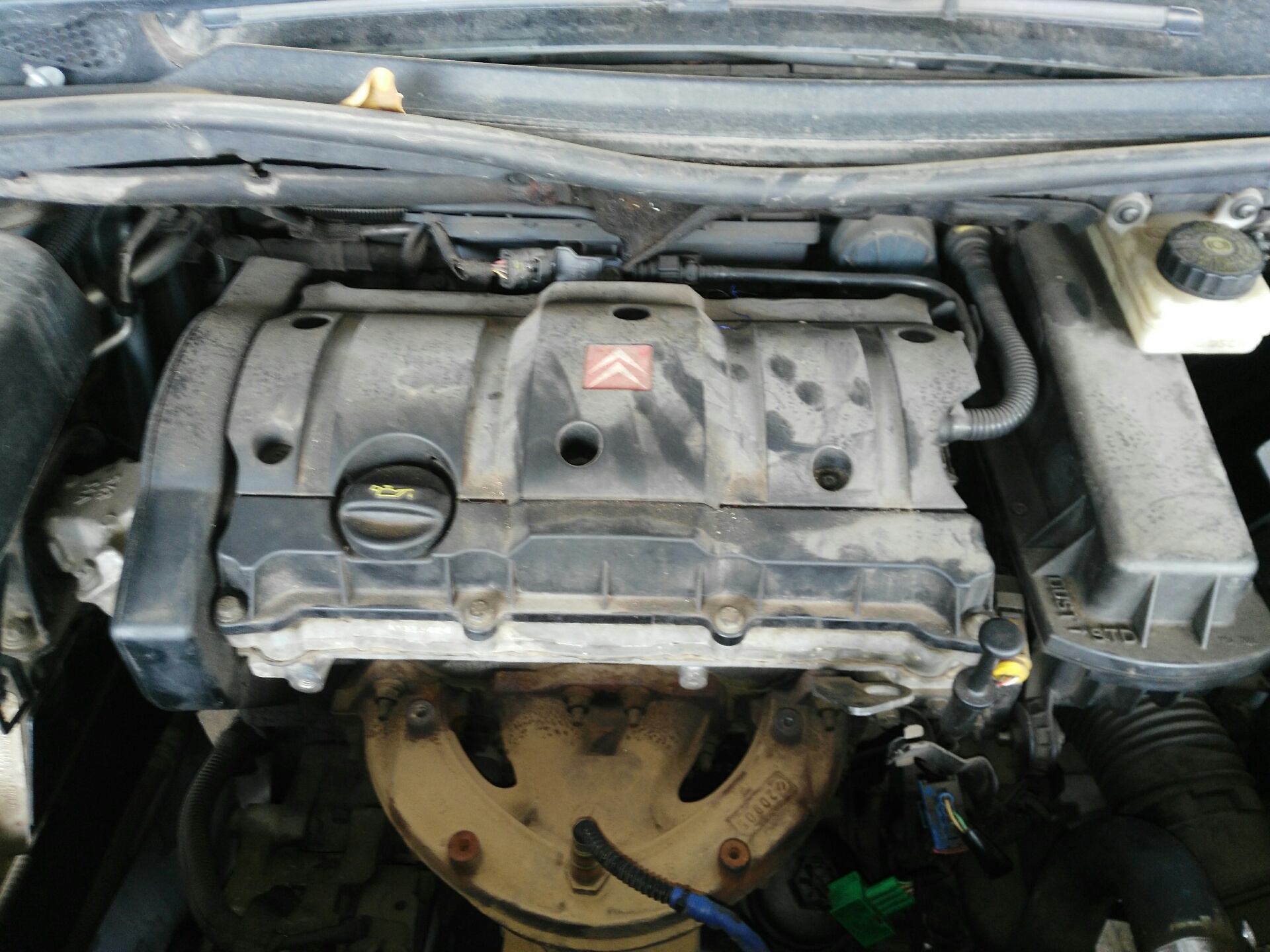 FORD C4 1 generation (2004-2011) Engine NFU,NFU 20150839