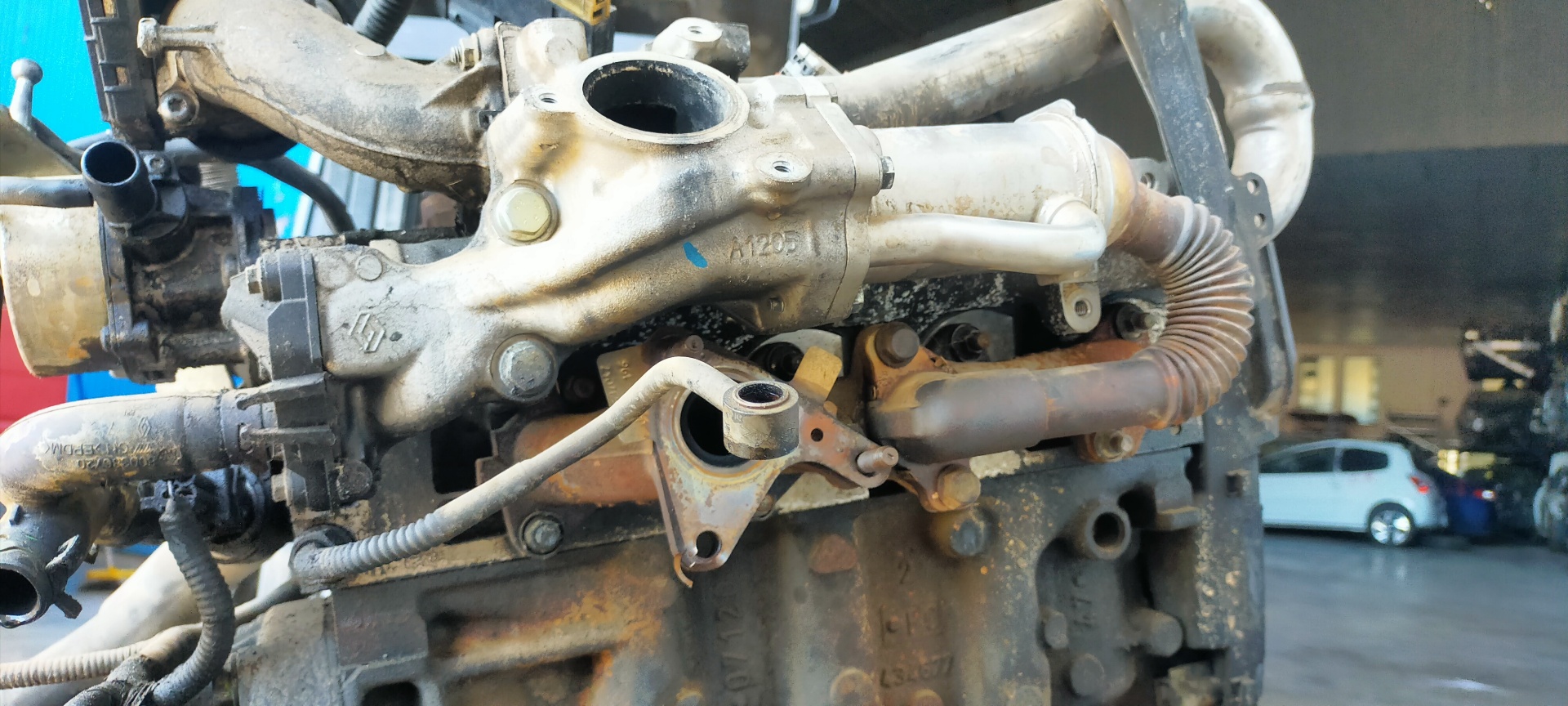 NISSAN Qashqai 1 generation (2007-2014) EGR hűtő 25231588