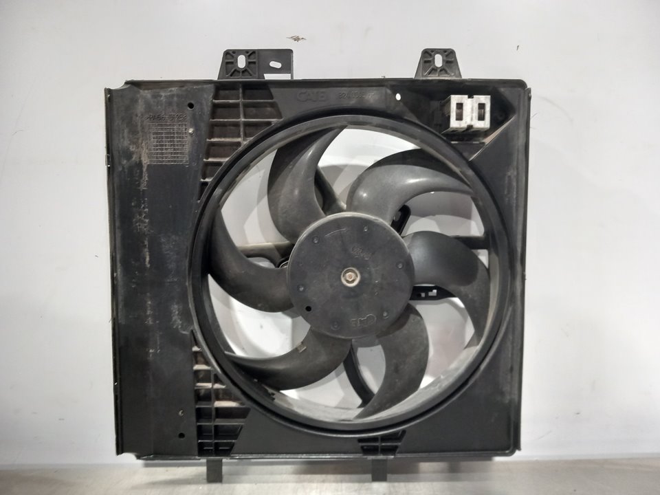CITROËN C3 1 generation (2002-2010) Difūzoriaus ventiliatorius 965380408001 24921748