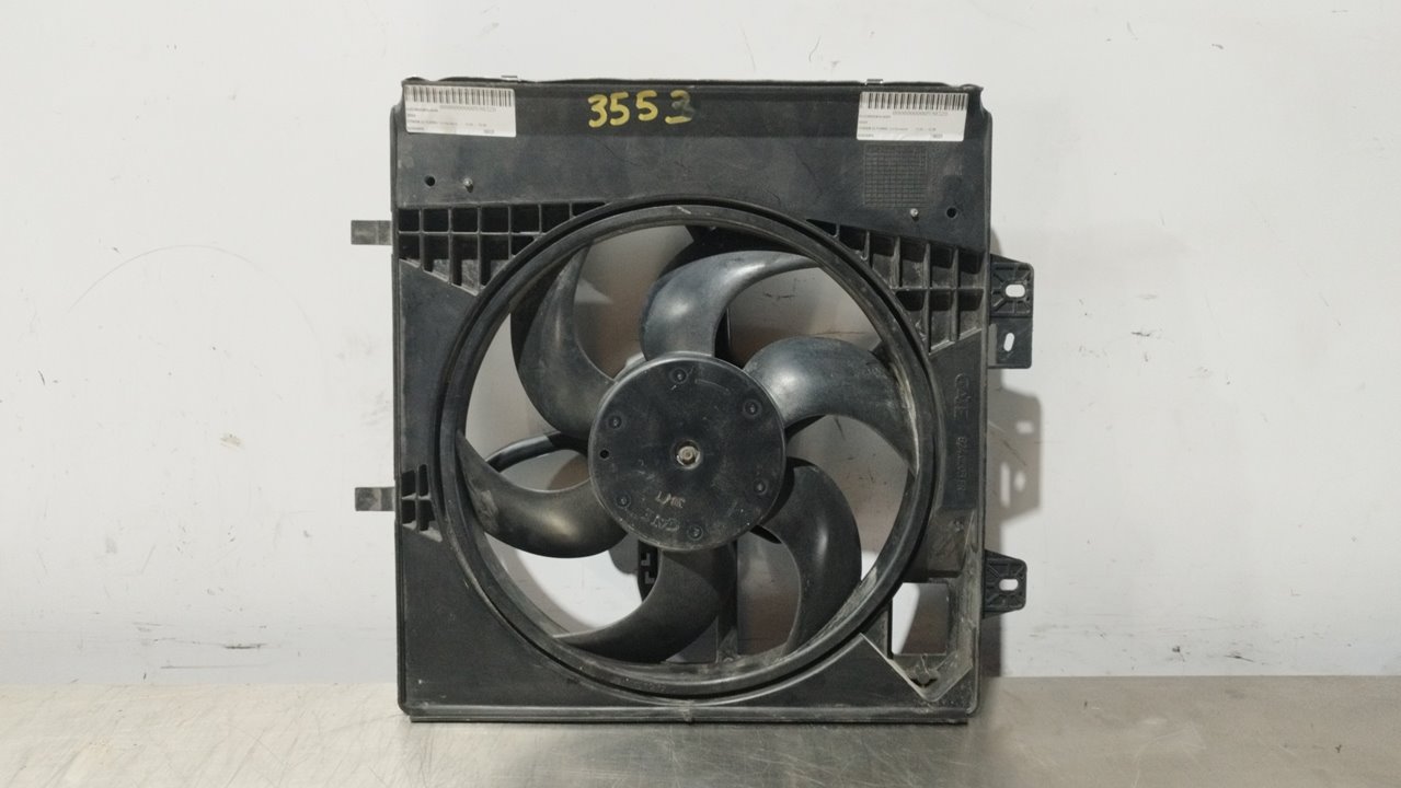 CITROËN C3 1 generation (2002-2010) Difūzoriaus ventiliatorius 8240503FR 24958906