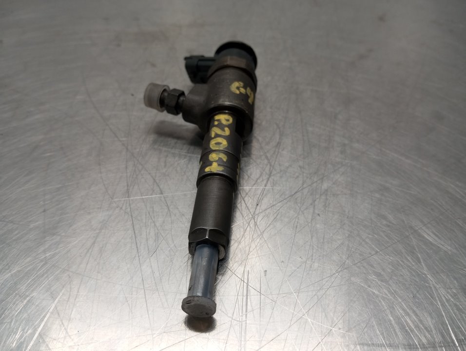 PEUGEOT 206 2 generation (2009-2013) Fuel Injector 0445110252 24922232