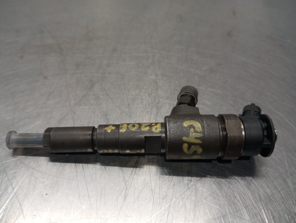 PEUGEOT 206 2 generation (2009-2013) Fuel Injector 0445110252 24922316