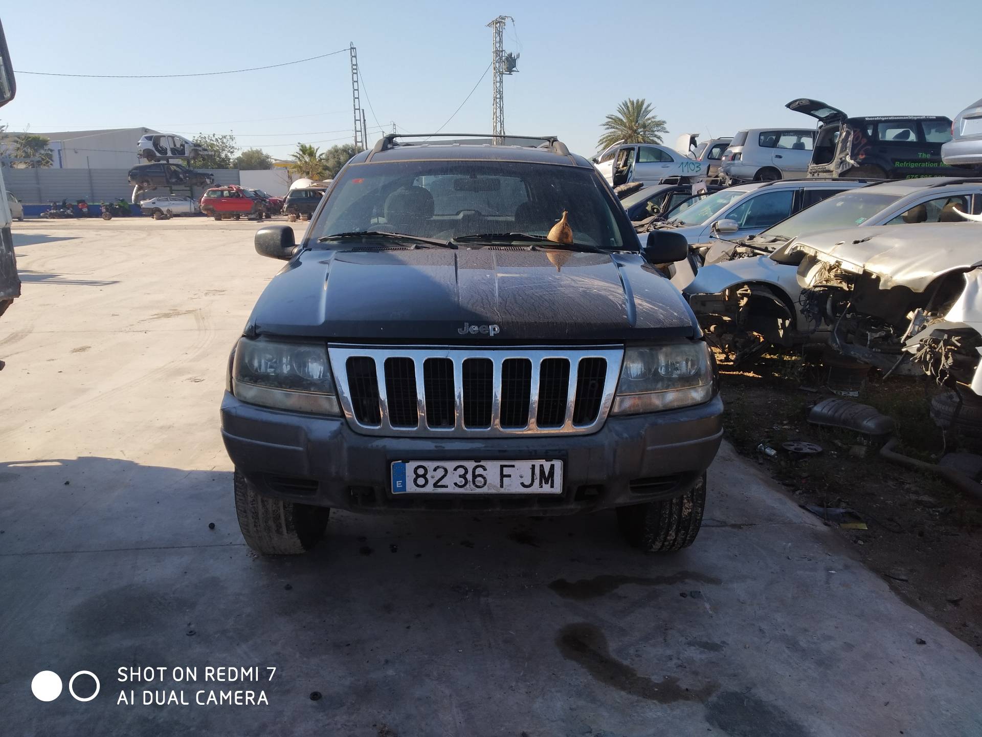 JEEP Grand Cherokee 2 generation (WJ) (1999-2004) Ohjauspyörän liukurengas Squib 56042341 22741725