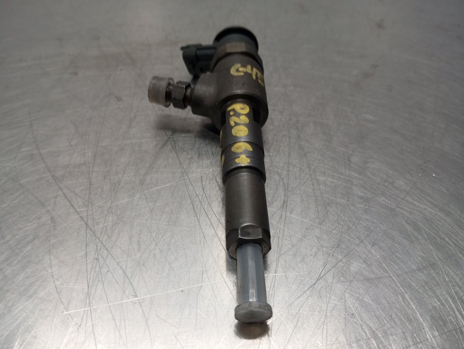 PEUGEOT 206 2 generation (2009-2013) Fuel Injector 0445110252 24922221