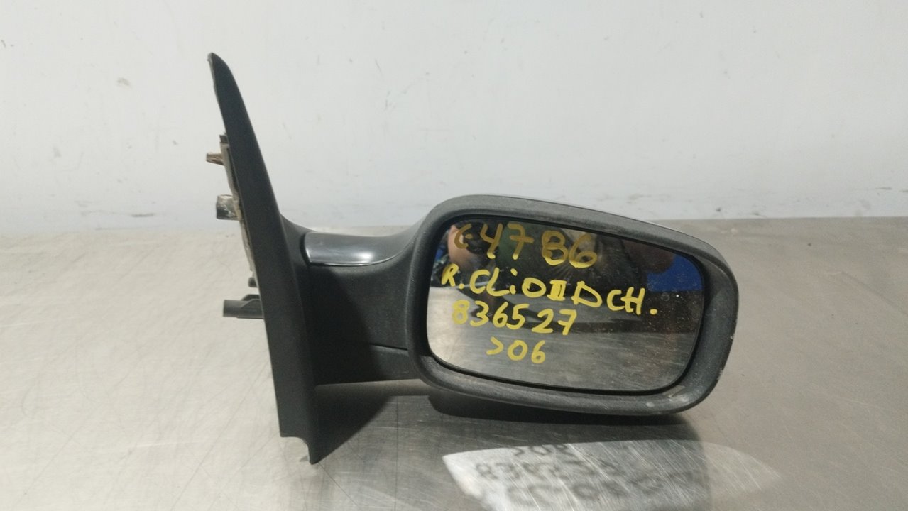 RENAULT Clio 3 generation (2005-2012) Right Side Wing Mirror 24939946