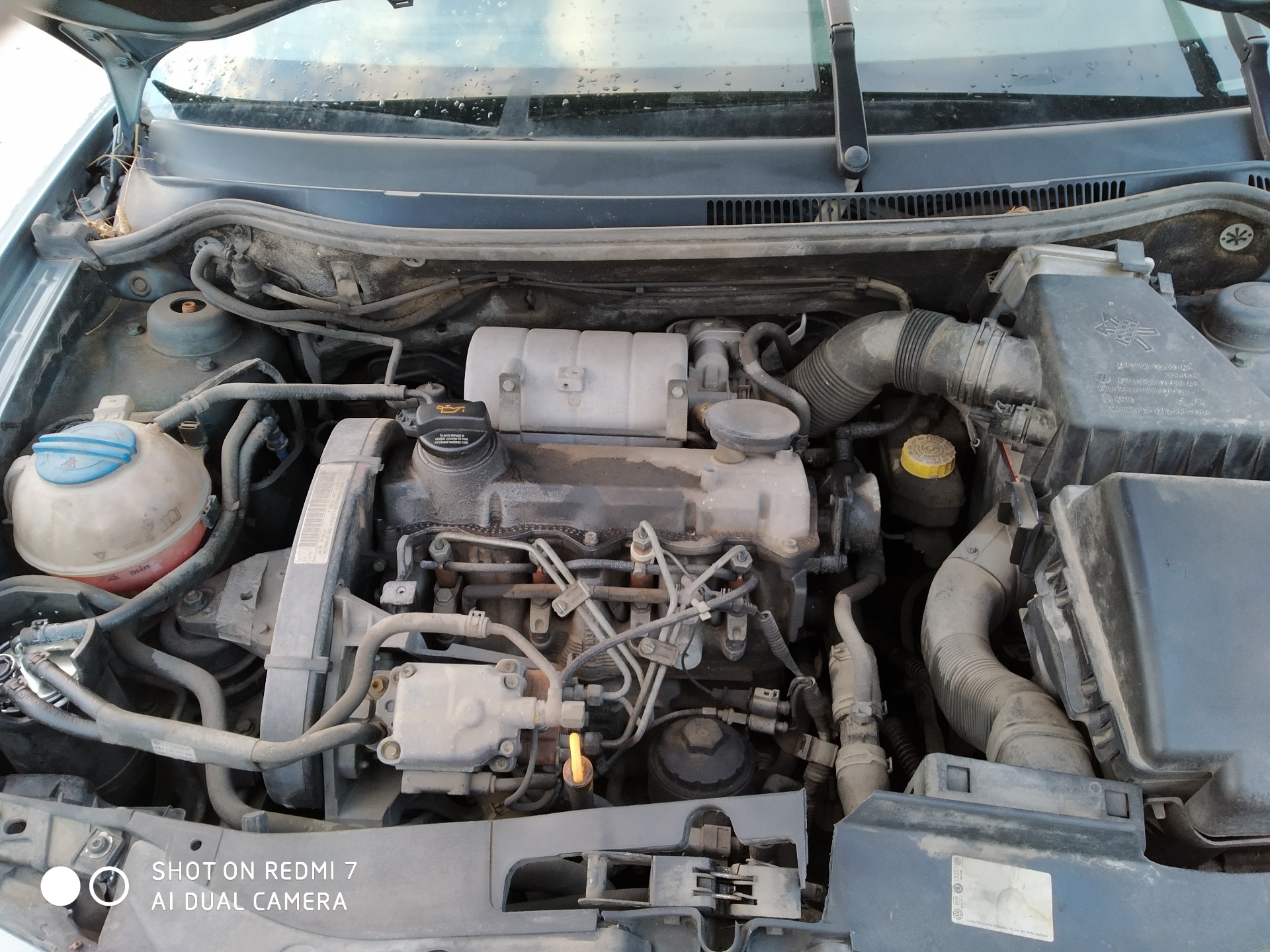 SEAT Cordoba 2 generation (1999-2009) Двигатель ASY 22745435