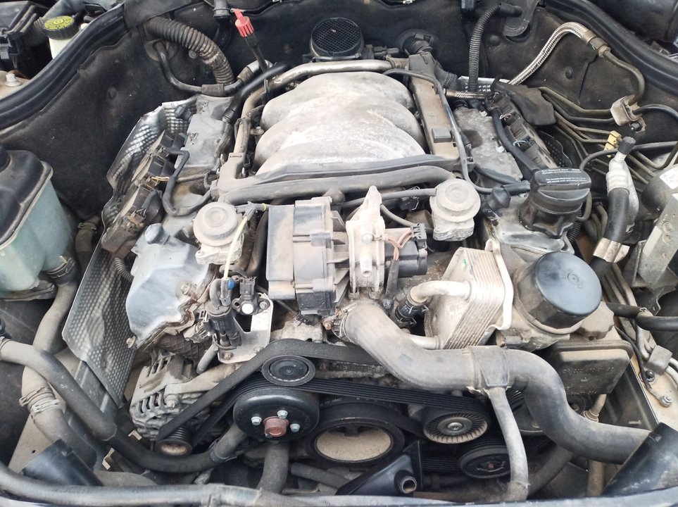 MERCEDES-BENZ CLK AMG GTR C297 (1997-1999) Двигатель M112955 24911800