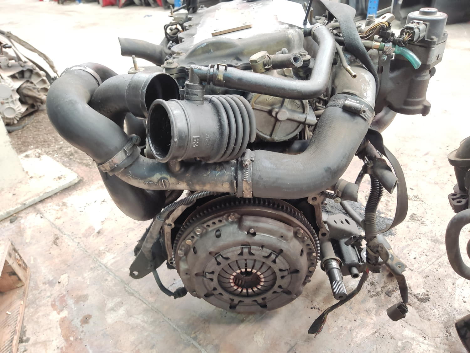 NISSAN Almera N16 (2000-2006) Engine YD22 24805131