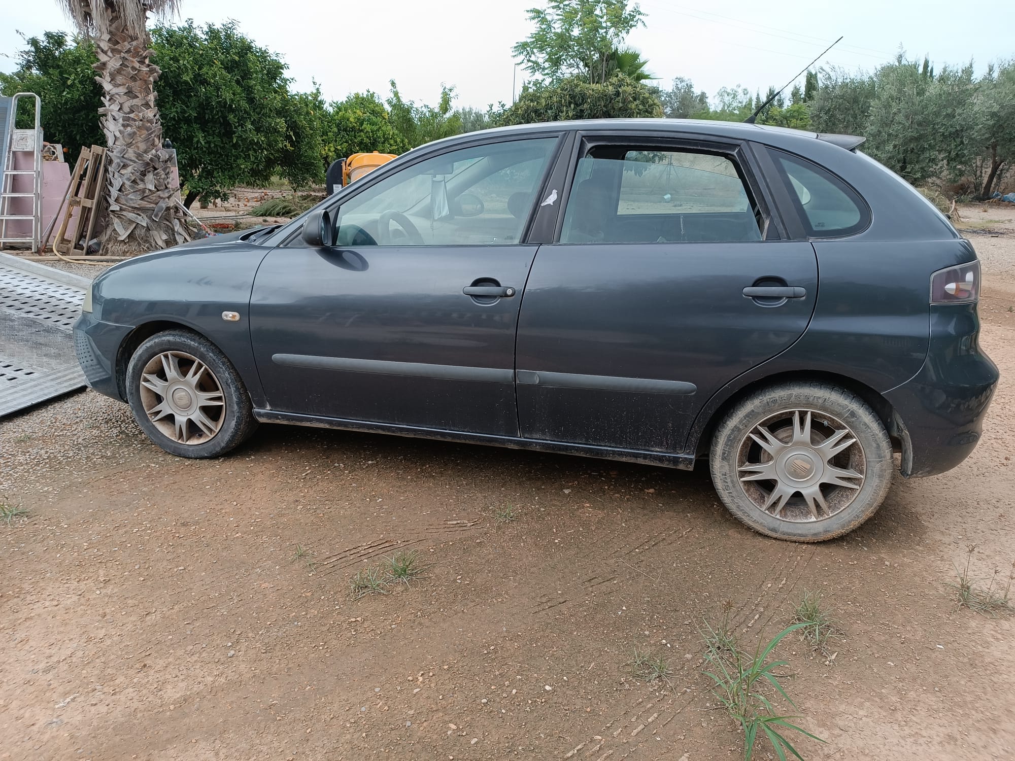 SEAT Ibiza 3 generation (2002-2008) Priekinių dešinių durų veidrodis 876048 24809776