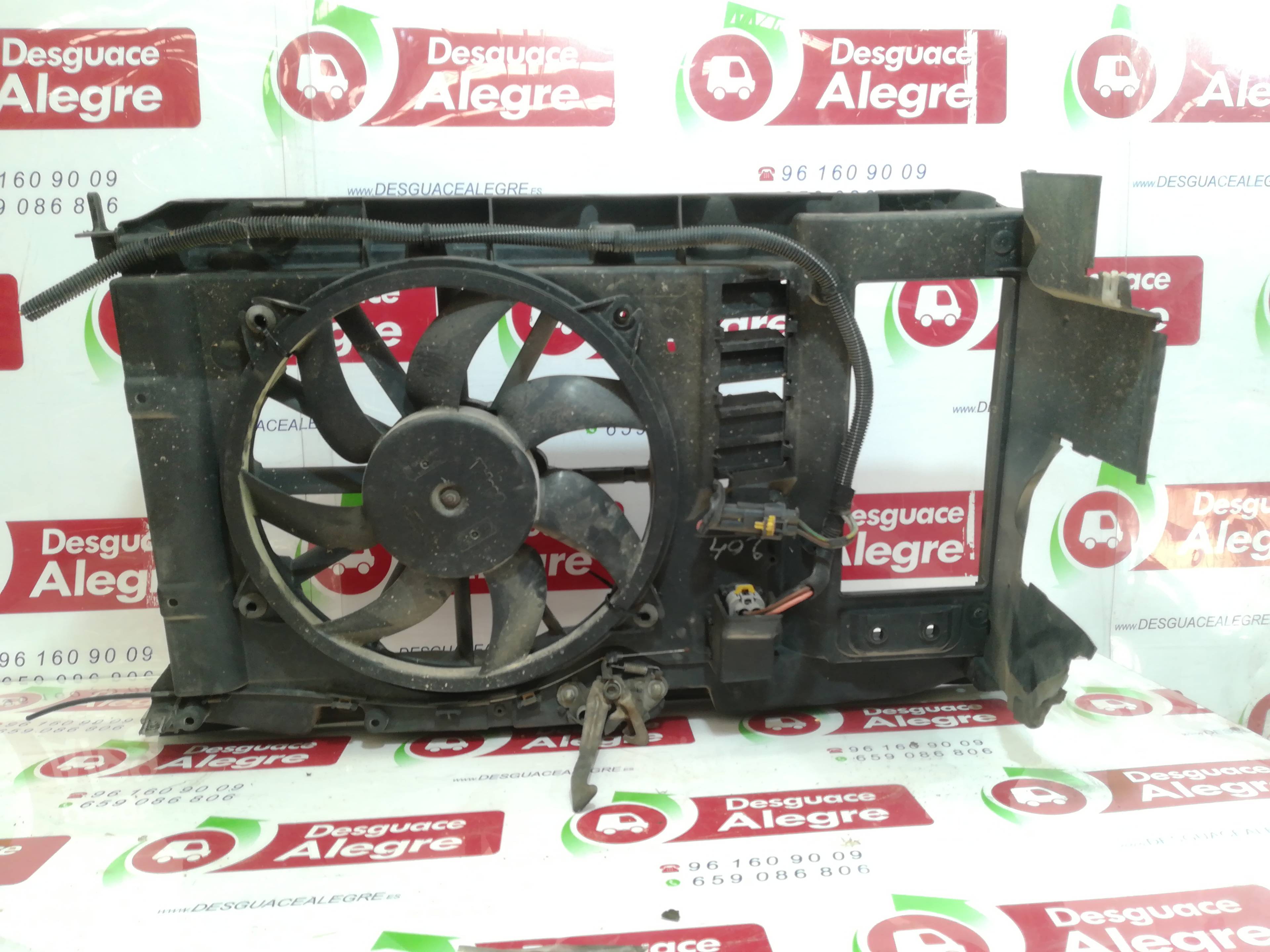 CITROËN C4 2 generation (2010-2024) Ventilator difuzor 9650316080 24795346