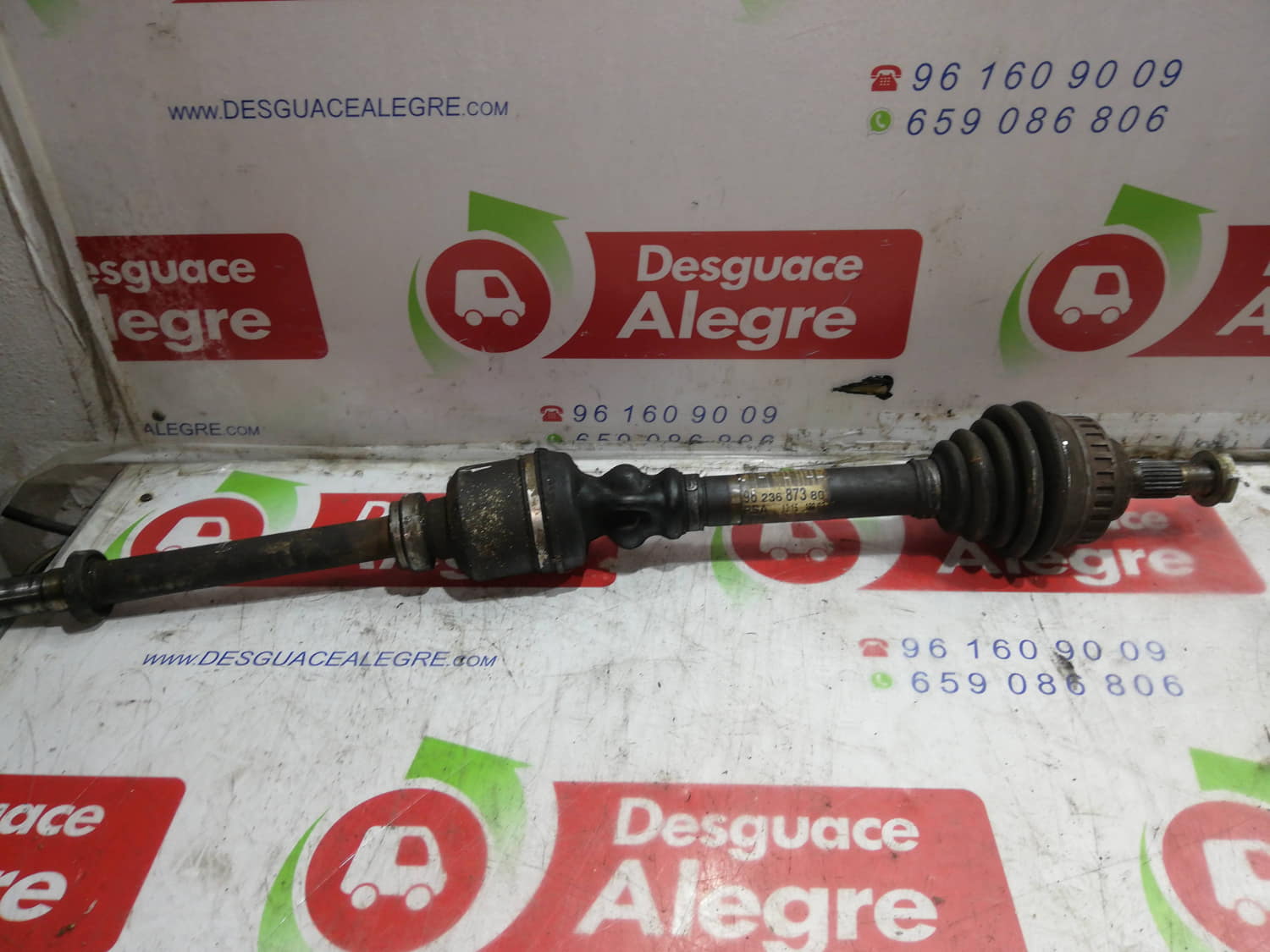 CITROËN Xsara 1 generation (1997-2004) Front Right Driveshaft 9623687380 24800950