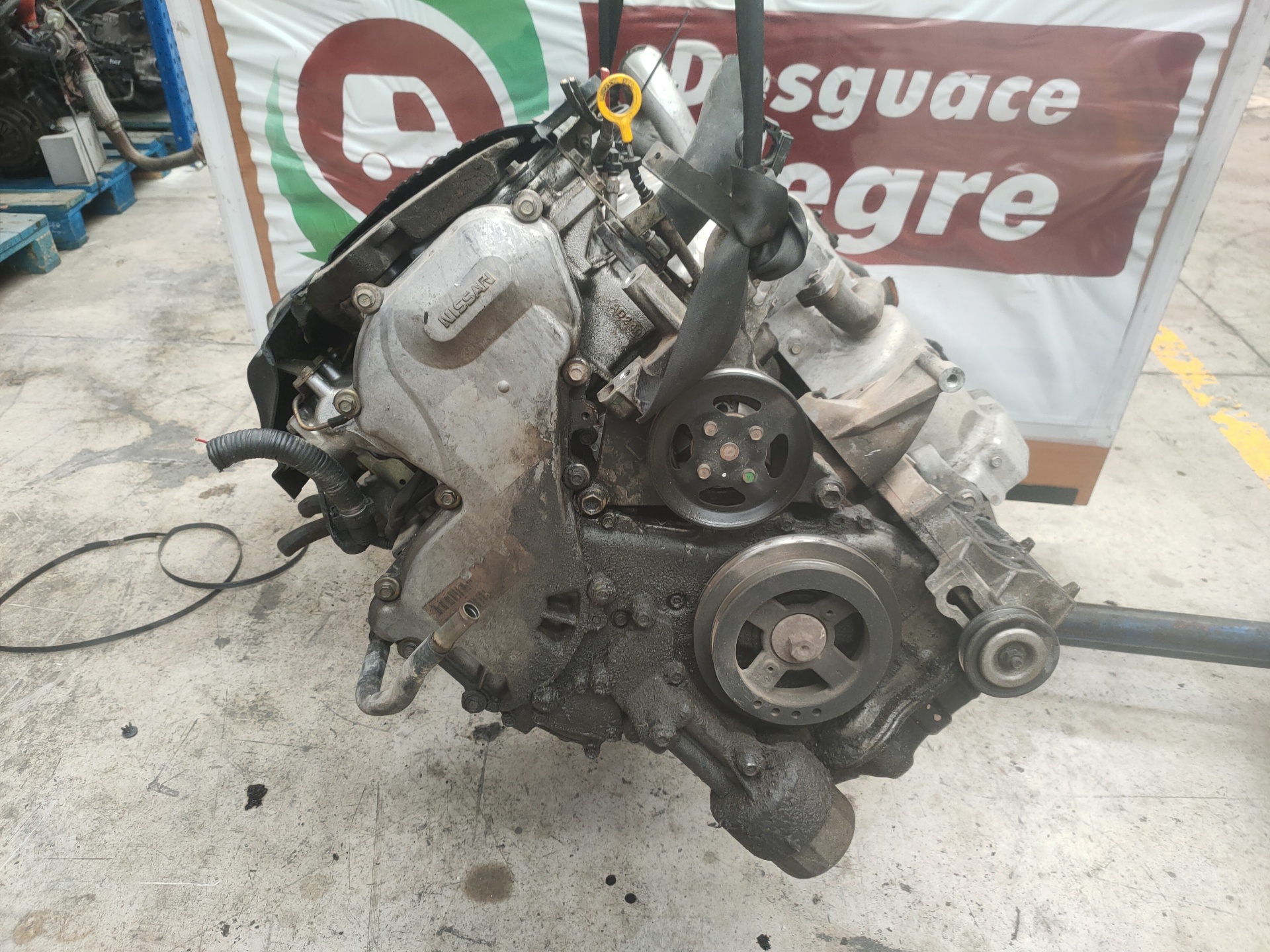 NISSAN Almera N16 (2000-2006) Motor YD22 24992312