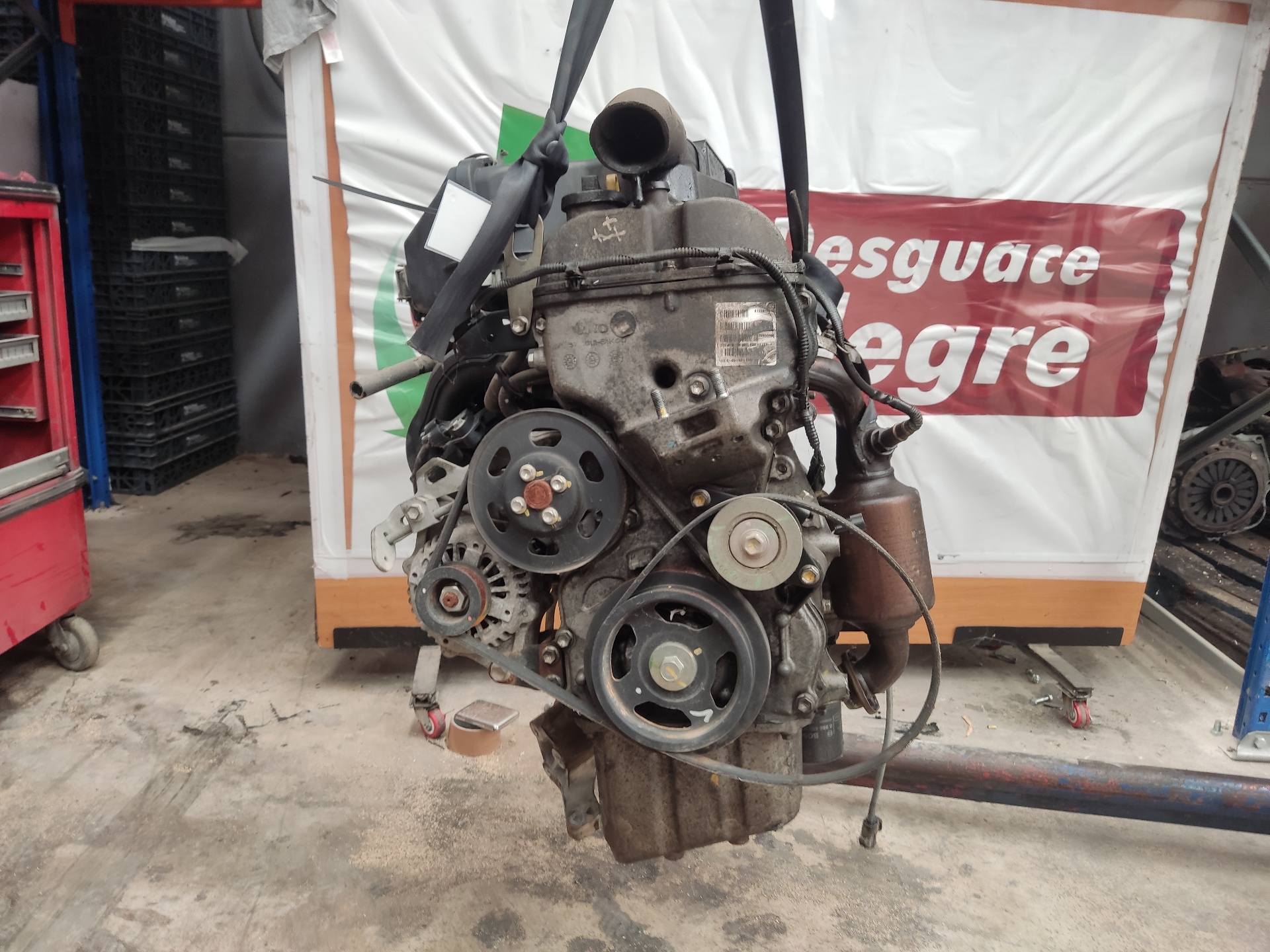 DODGE Engine K10B 25988313