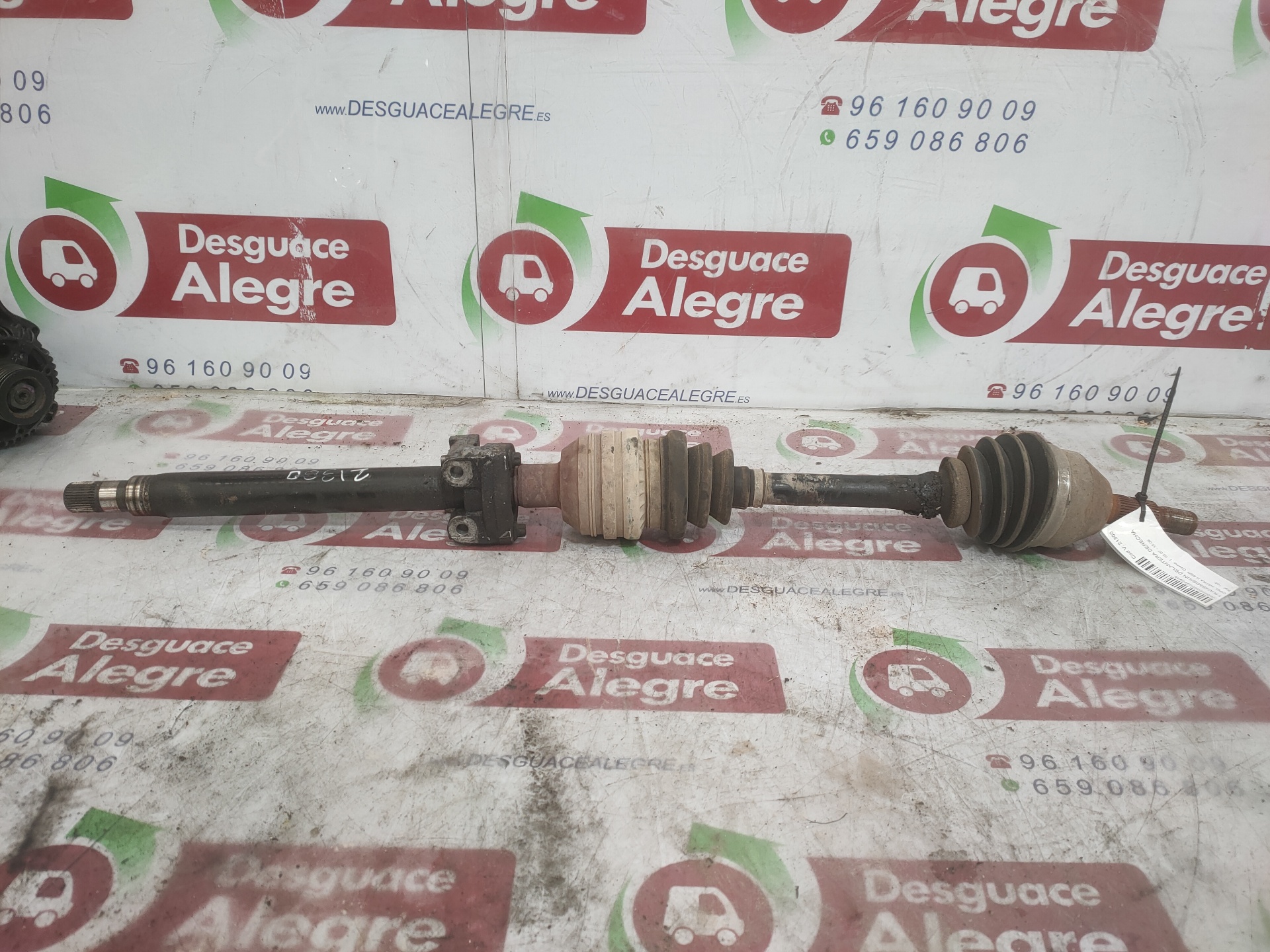 OPEL Astra J (2009-2020) Front Right Driveshaft 24807683