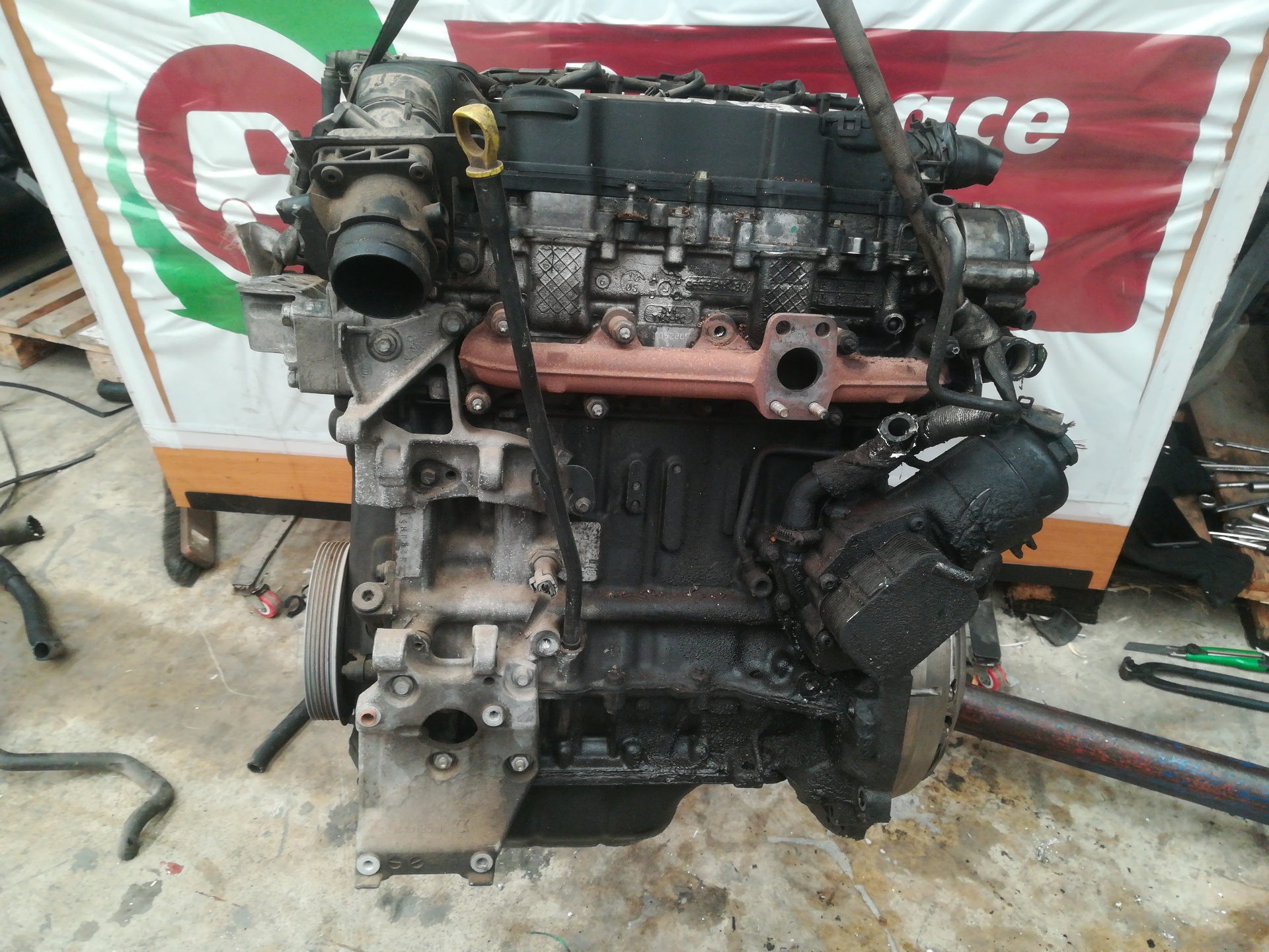 FORD Focus 2 generation (2004-2011) Engine G8DA 23392526