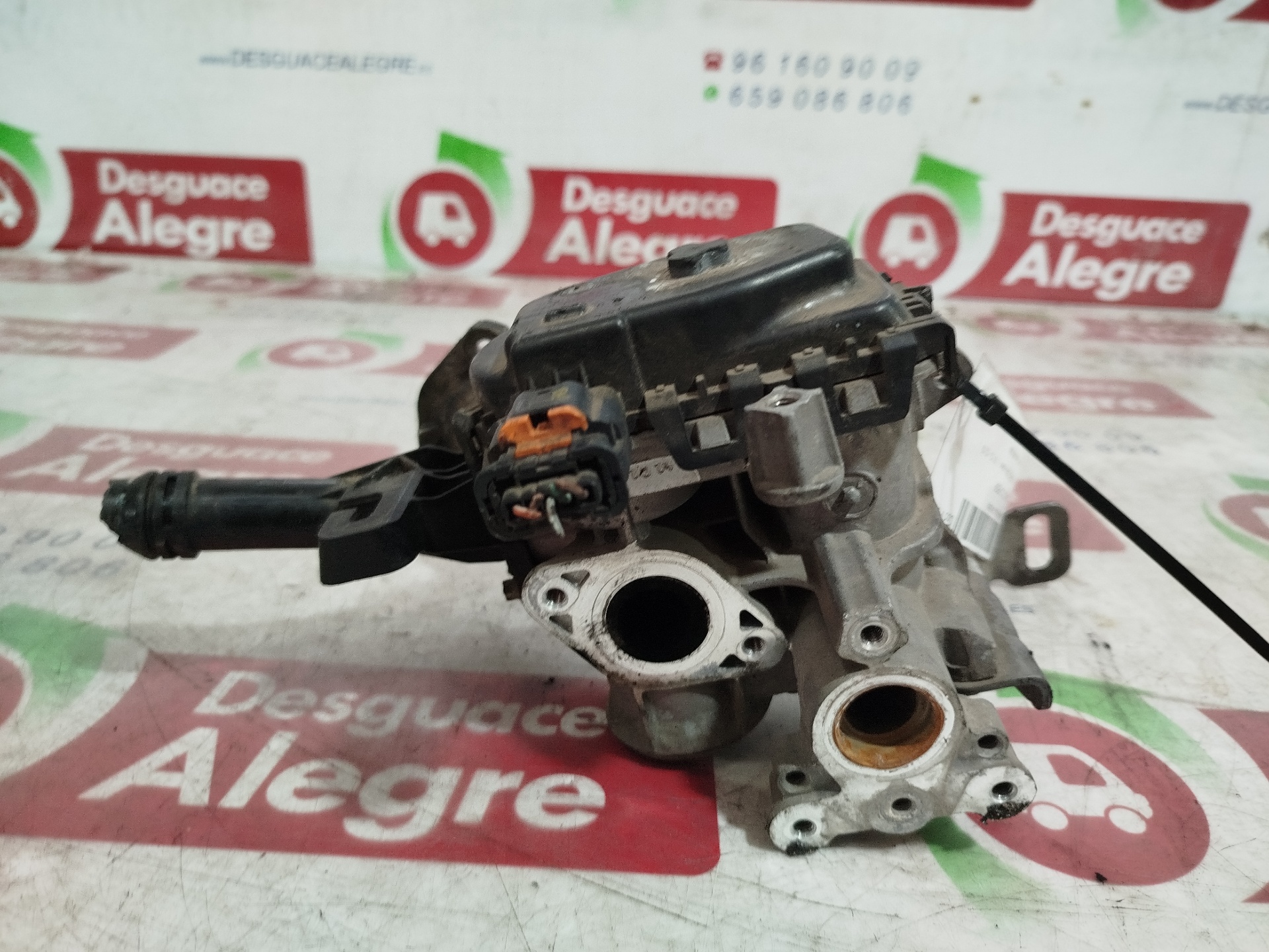 PEUGEOT 208 Peugeot 208 (2012-2015) EGR vārsts 9807369980 24795569