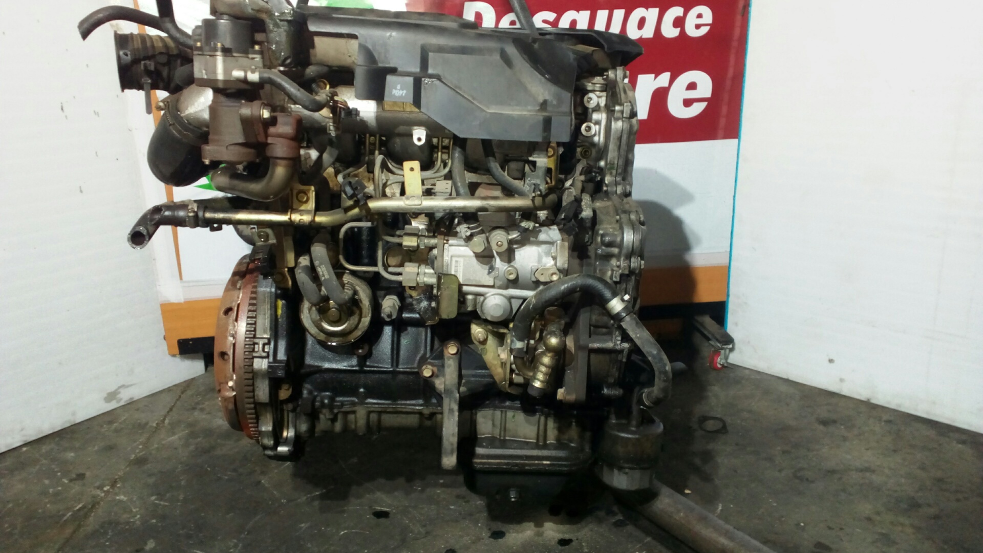 NISSAN Almera N16 (2000-2006) Motor YD22 24798192