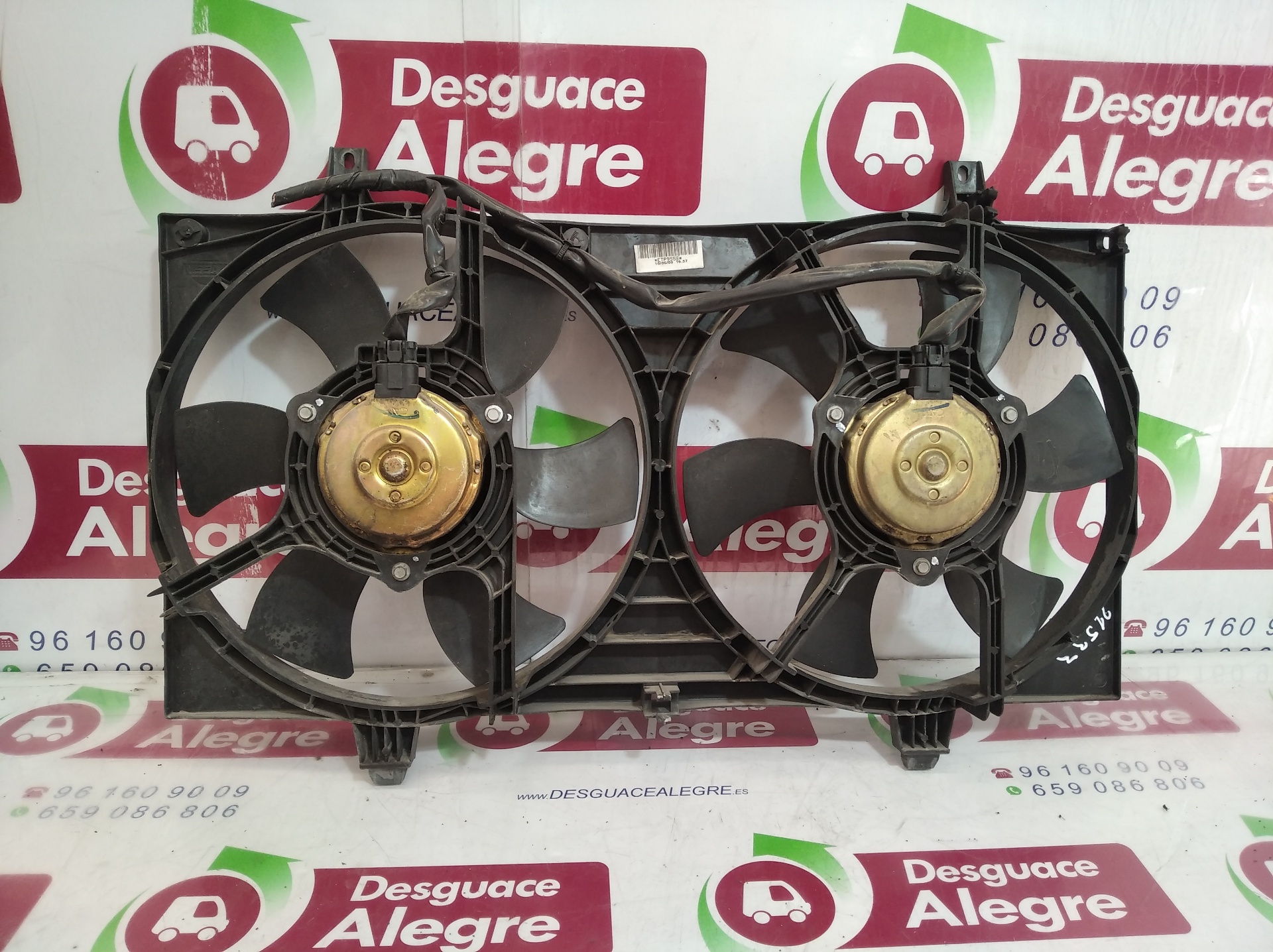 NISSAN Almera N16 (2000-2006) Diffuser Fan ETP9558 24808762