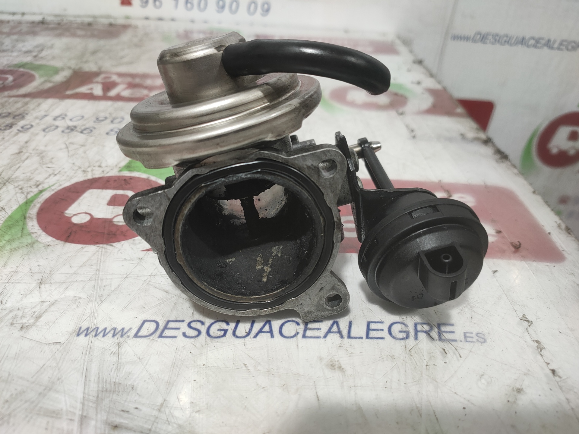 SEAT Ibiza 3 generation (2002-2008) Егр клапан 038131501M 24838835