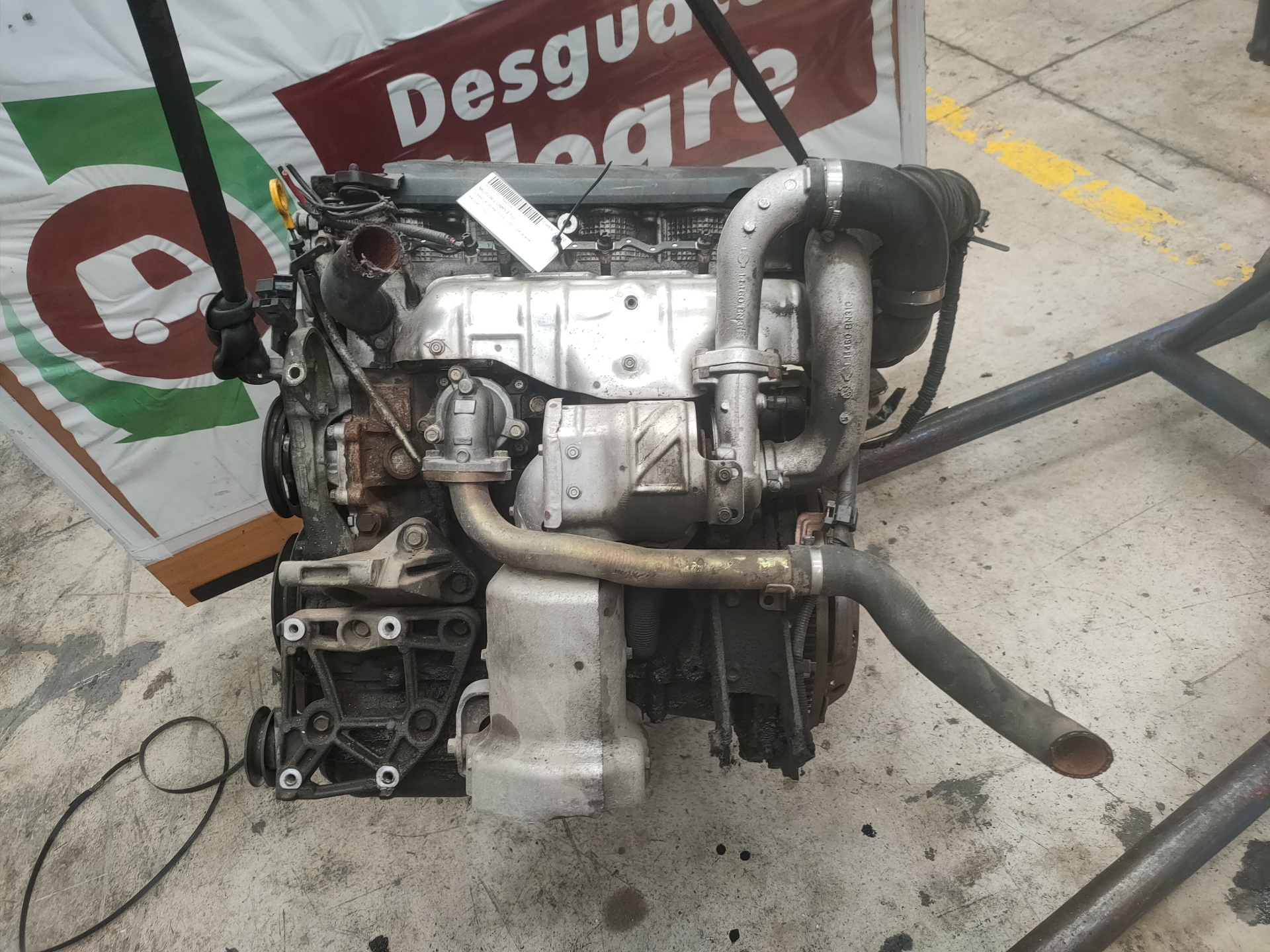 NISSAN Almera N16 (2000-2006) Motor YD22 24992312