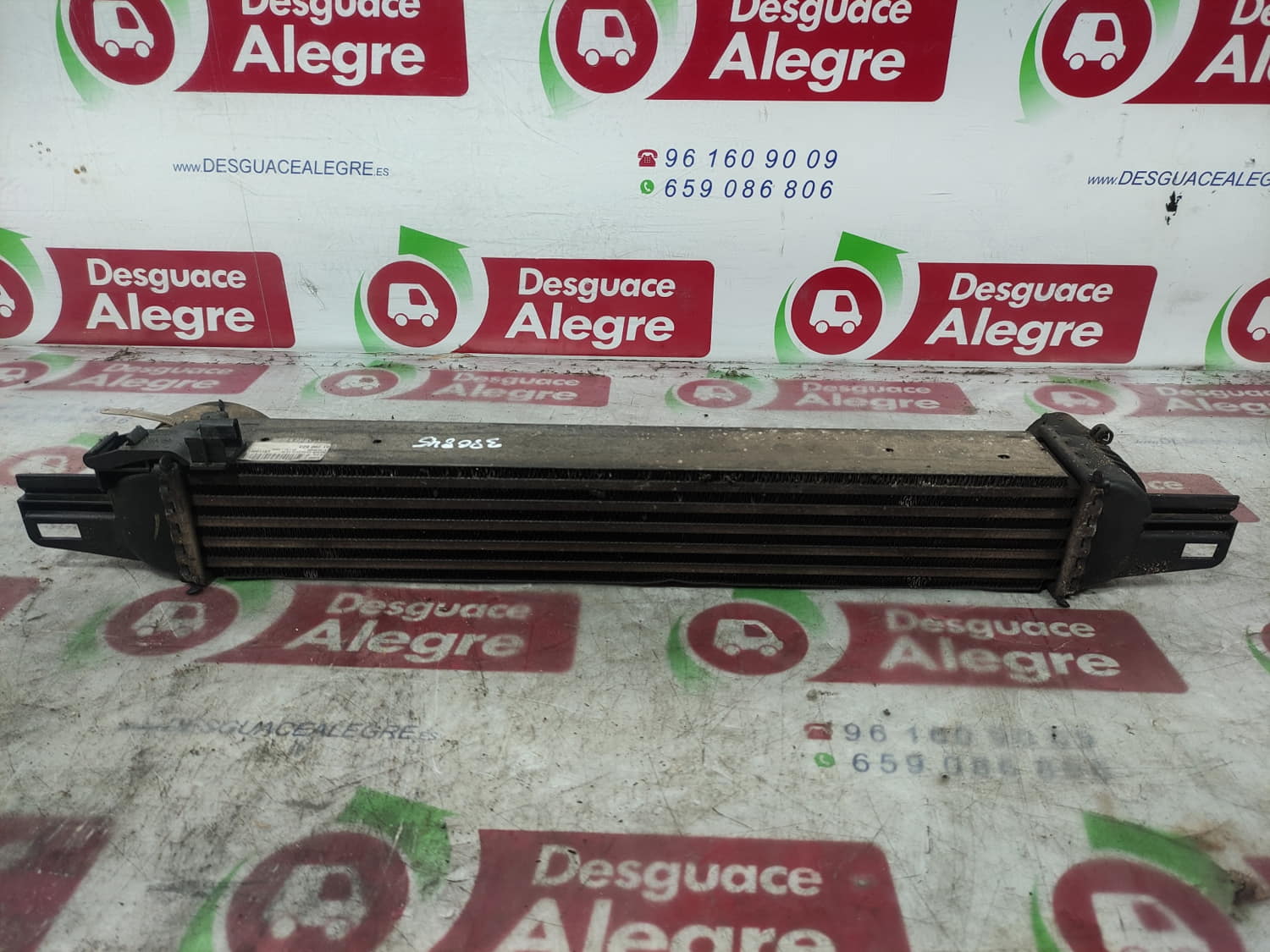 PEUGEOT Bipper 1 generation (2008-2020) Intercooler Kylare 51790623 24805163