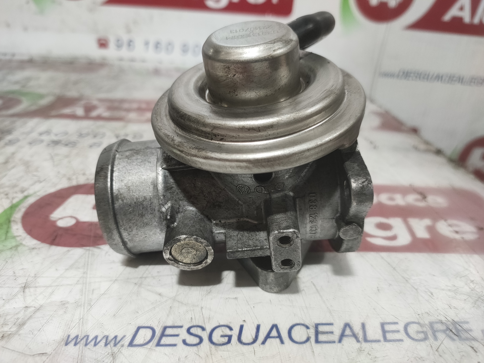 SEAT Ibiza 3 generation (2002-2008) EGR Valve 038131501M 24838835