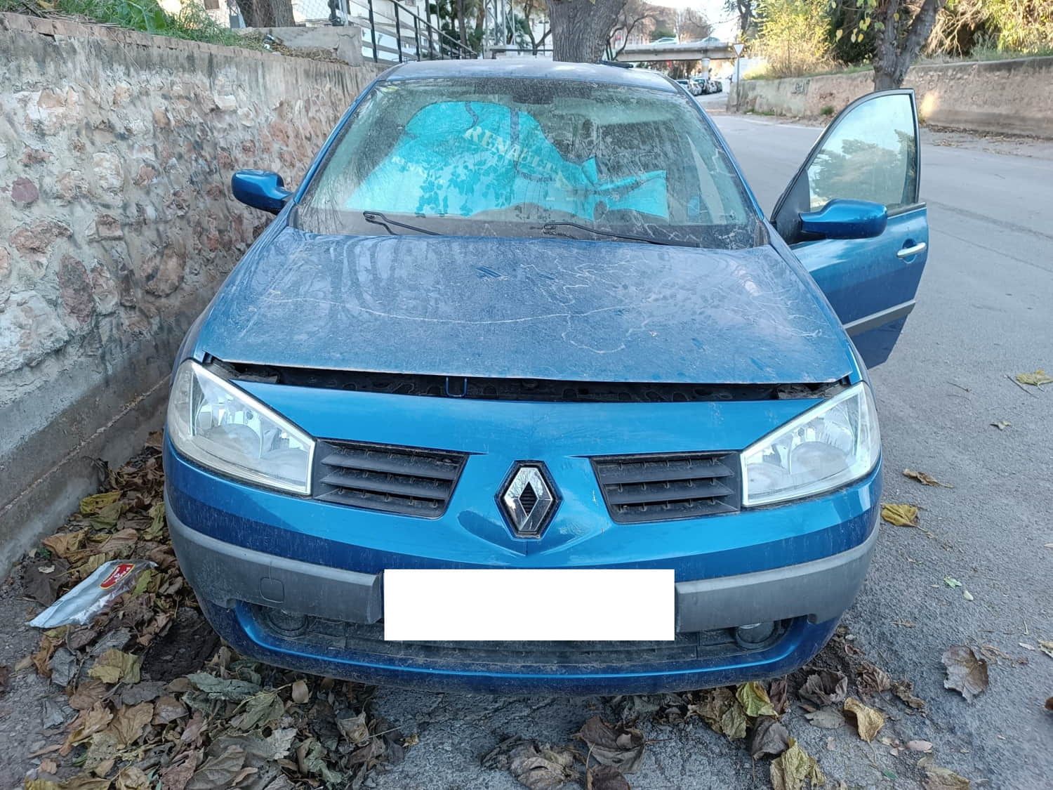 RENAULT Megane 2 generation (2002-2012) Galinės kairės durys 24806564