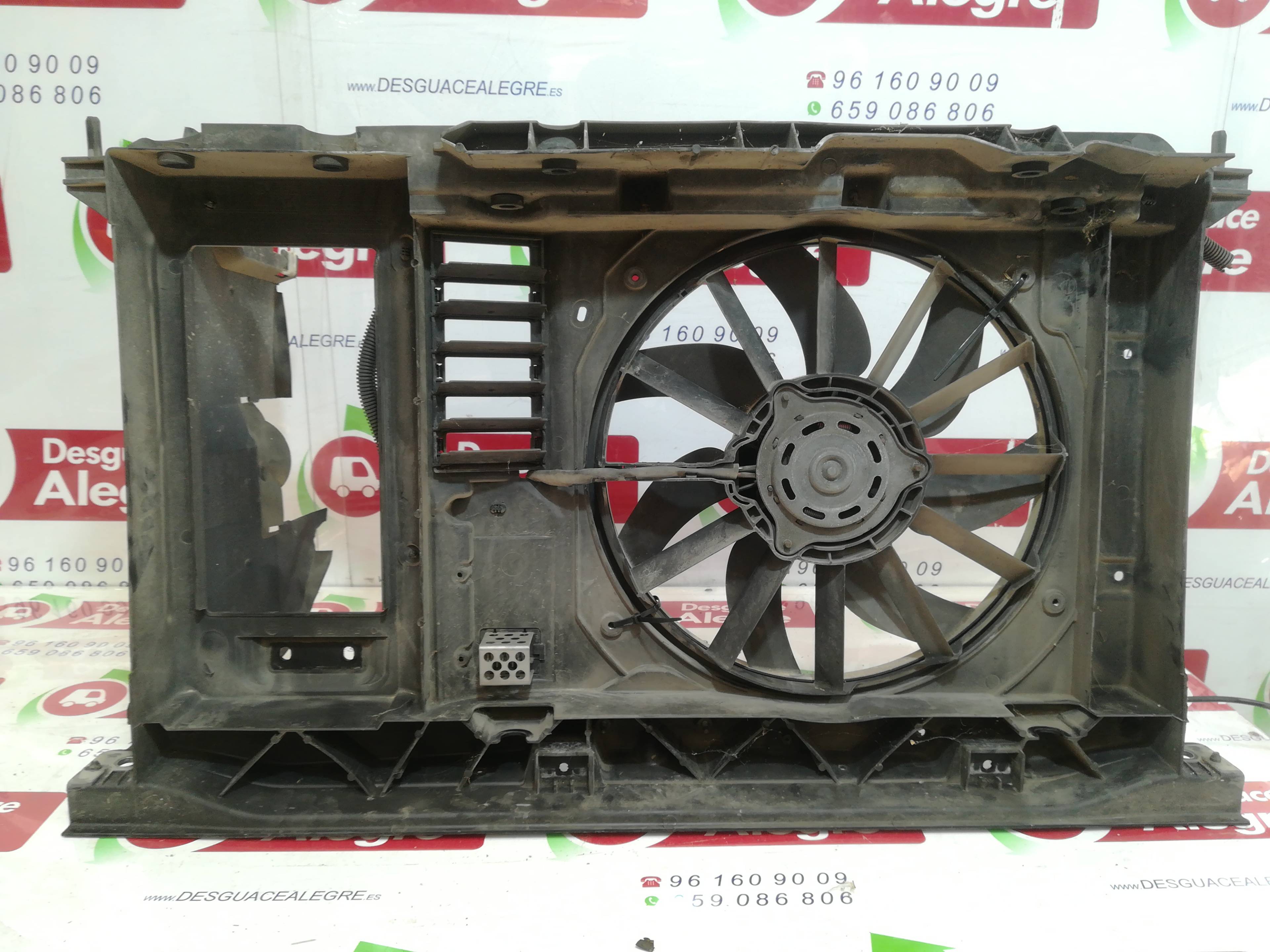 CITROËN C4 2 generation (2010-2024) Difūzoriaus ventiliatorius 9650316080 24795346