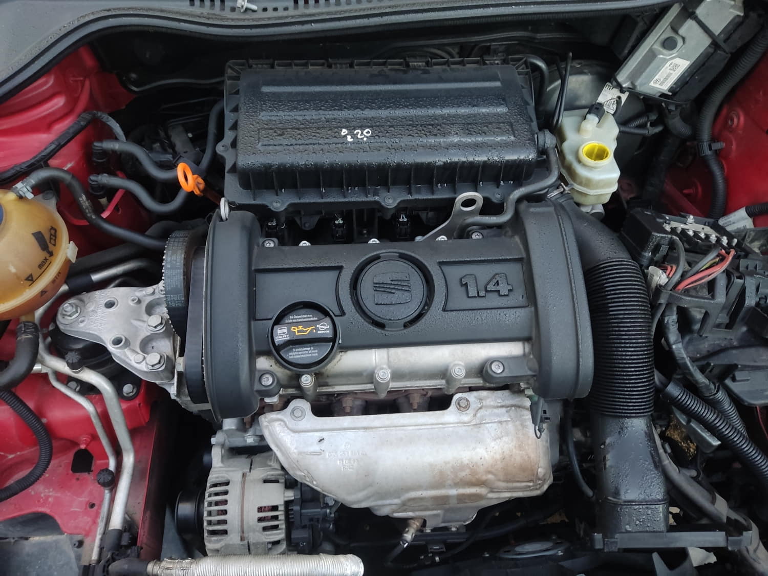 SEAT Ibiza 4 generation (2008-2017) Engine BXW 22792445