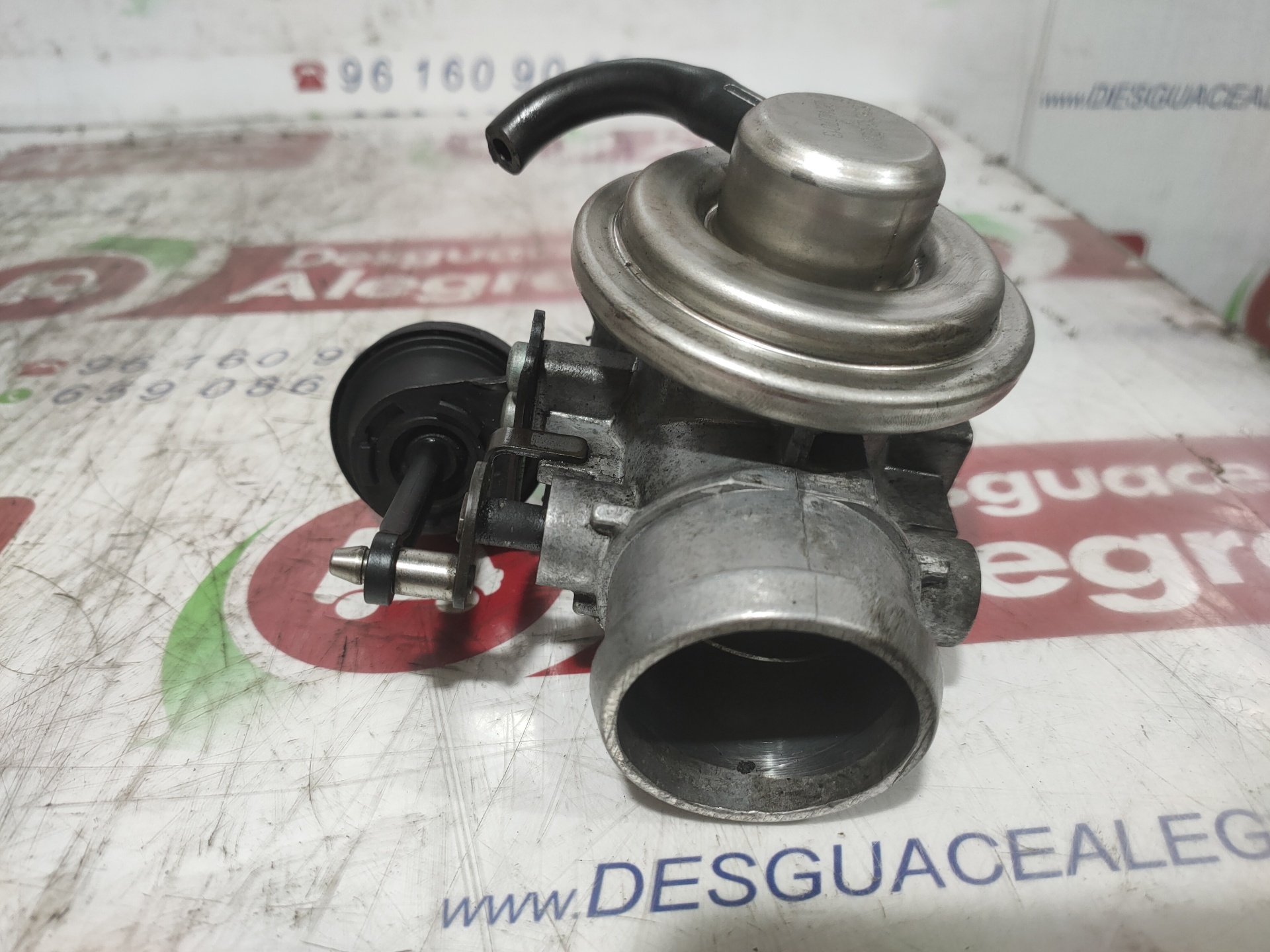 SEAT Ibiza 3 generation (2002-2008) EGR Valve 038131501M 24838835