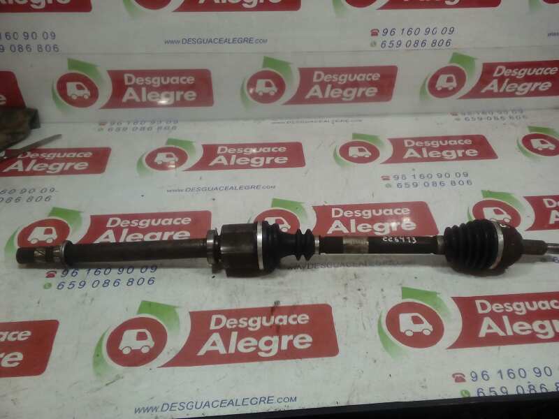 RENAULT Megane 2 generation (2002-2012) Priekinis dešinys pusašis 8200198015 24791734