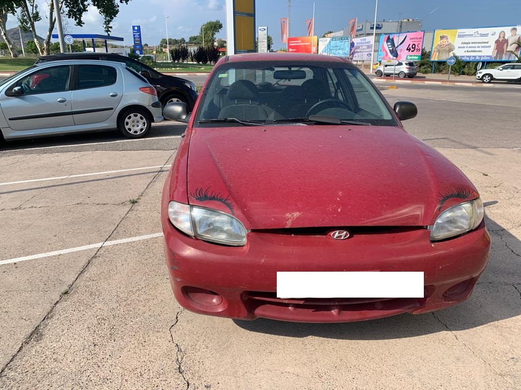 HYUNDAI Accent LC (1999-2013) Difūzoriaus ventiliatorius 4569631 24811384