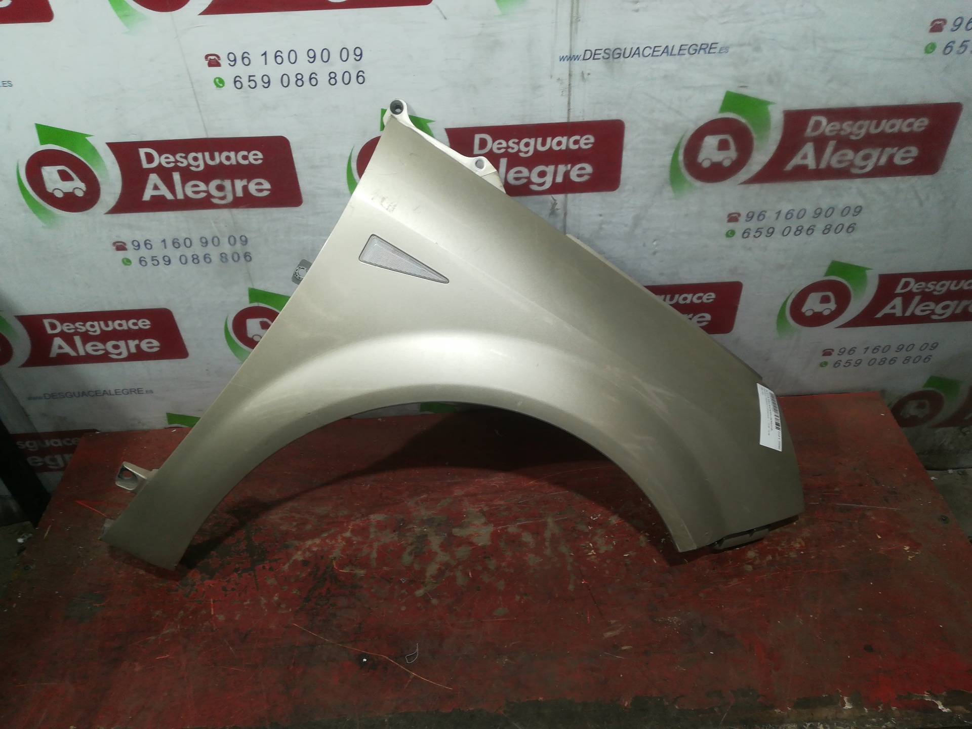 RENAULT Scenic 2 generation (2003-2010) Front Right Fender 24857687