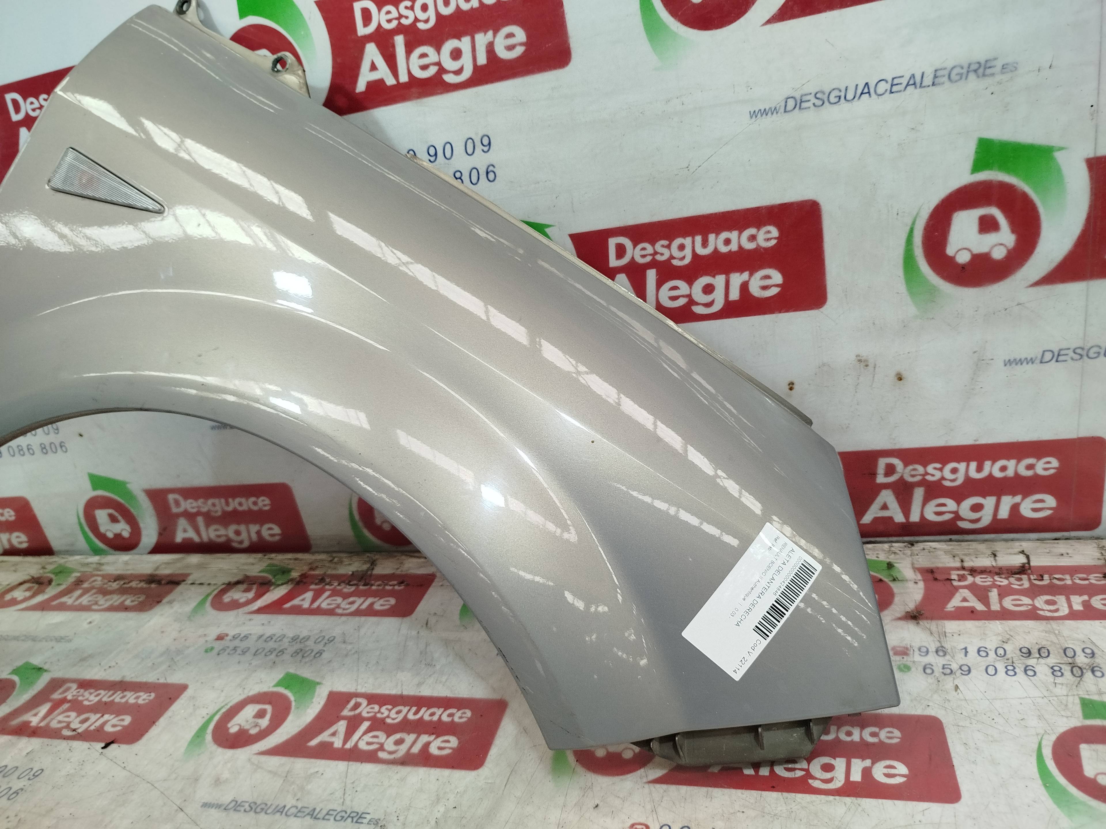 RENAULT Scenic 2 generation (2003-2010) Front Right Fender 24814271