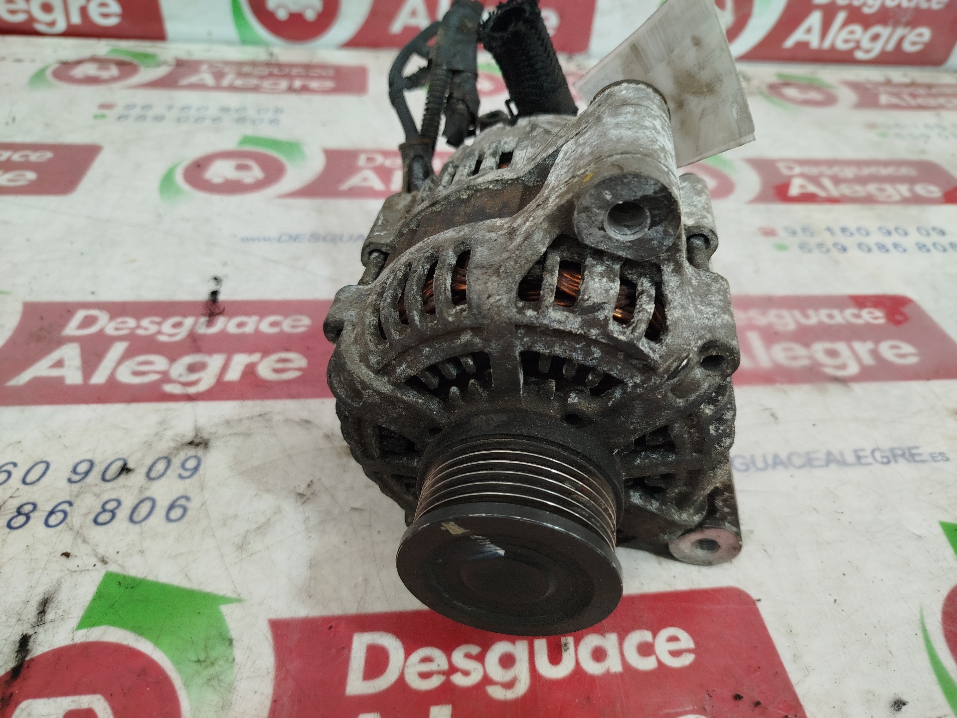 KIA Carens 2 generation (2002-2006) Alternator 3730027012 24860141