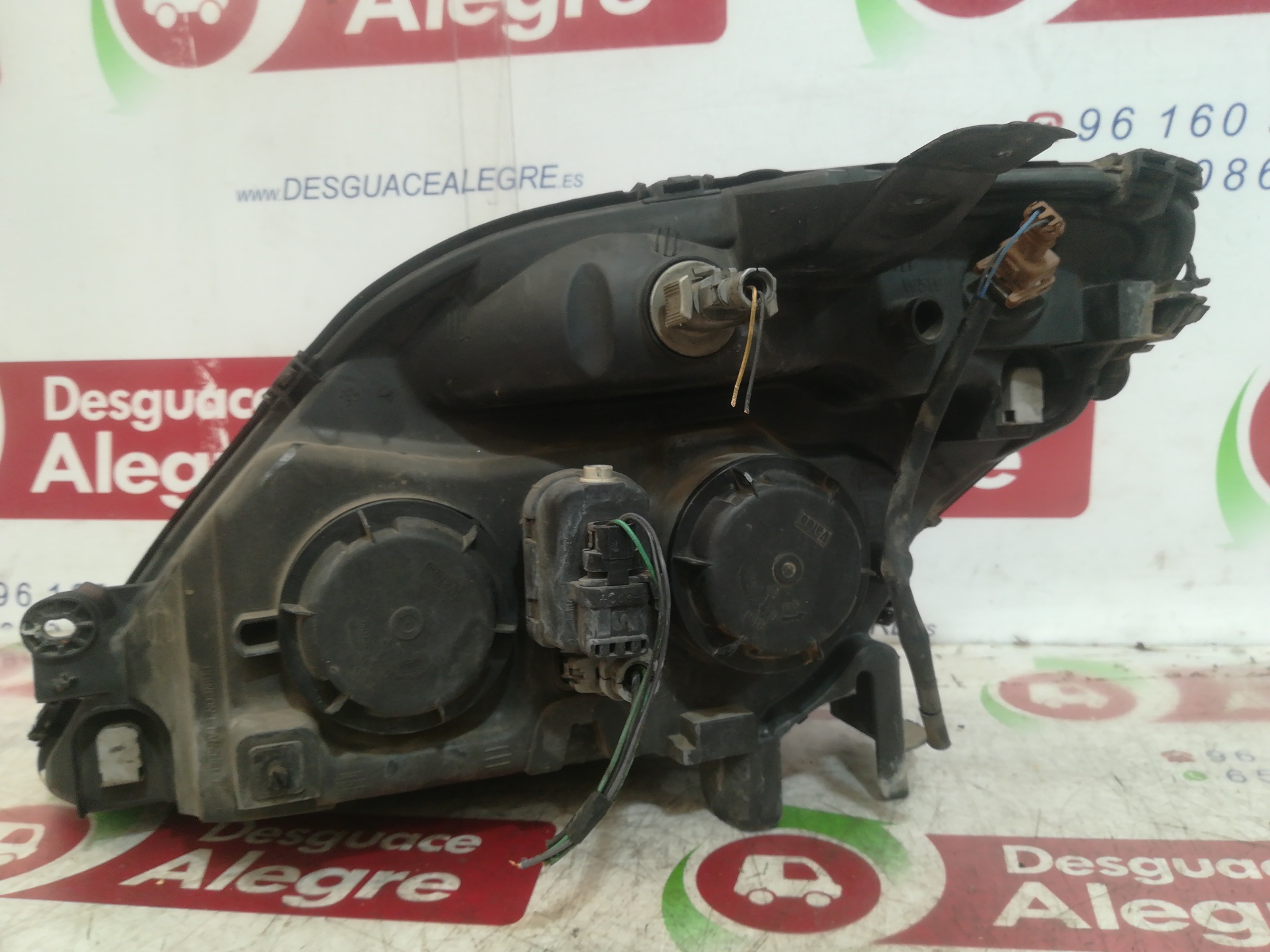 RENAULT Korando KJ (1999-2001) Фара передняя правая 89002987 24810427