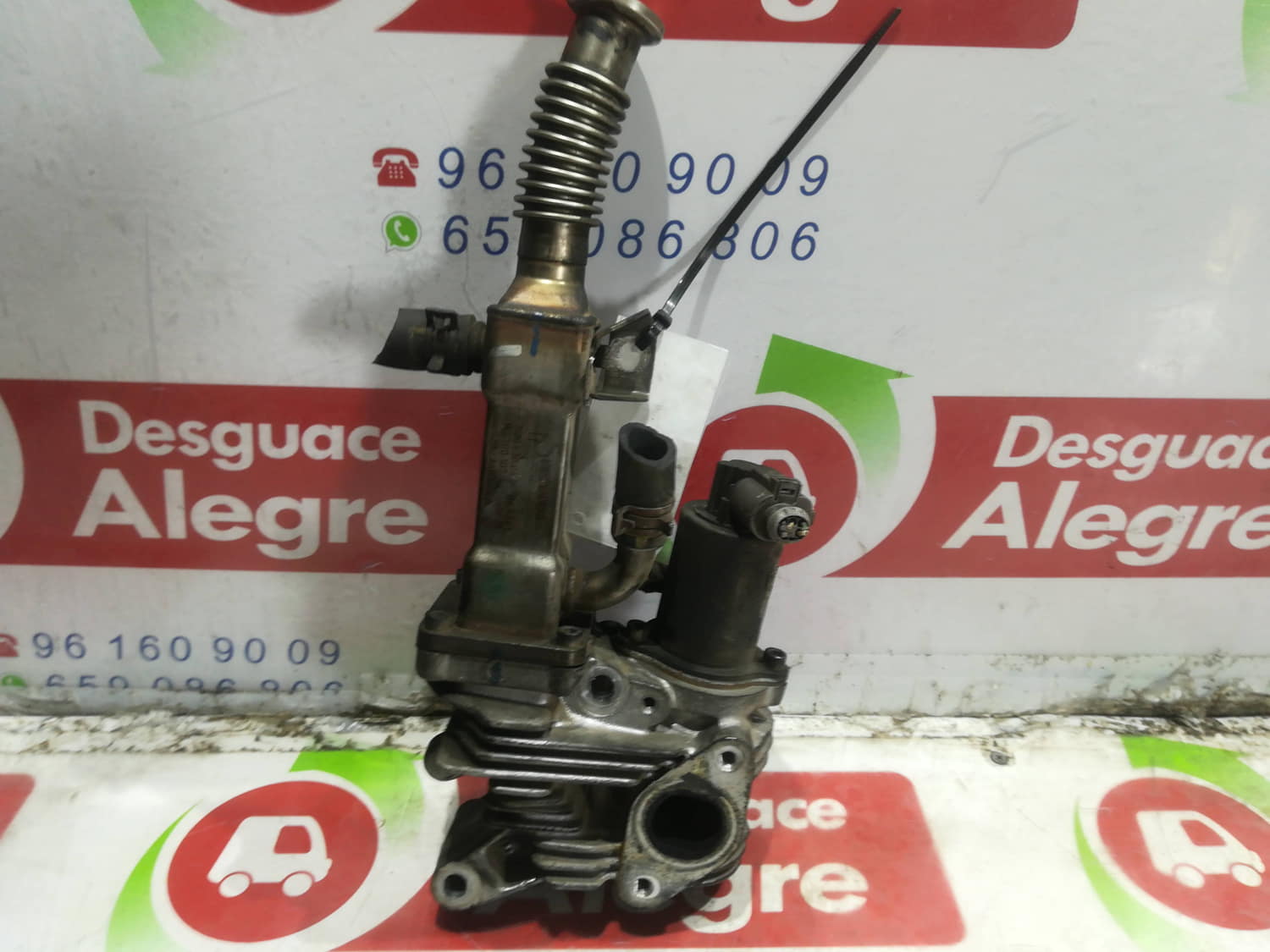 RENAULT Scenic 2 generation (2003-2010) EGR szelep 50006603 24799426