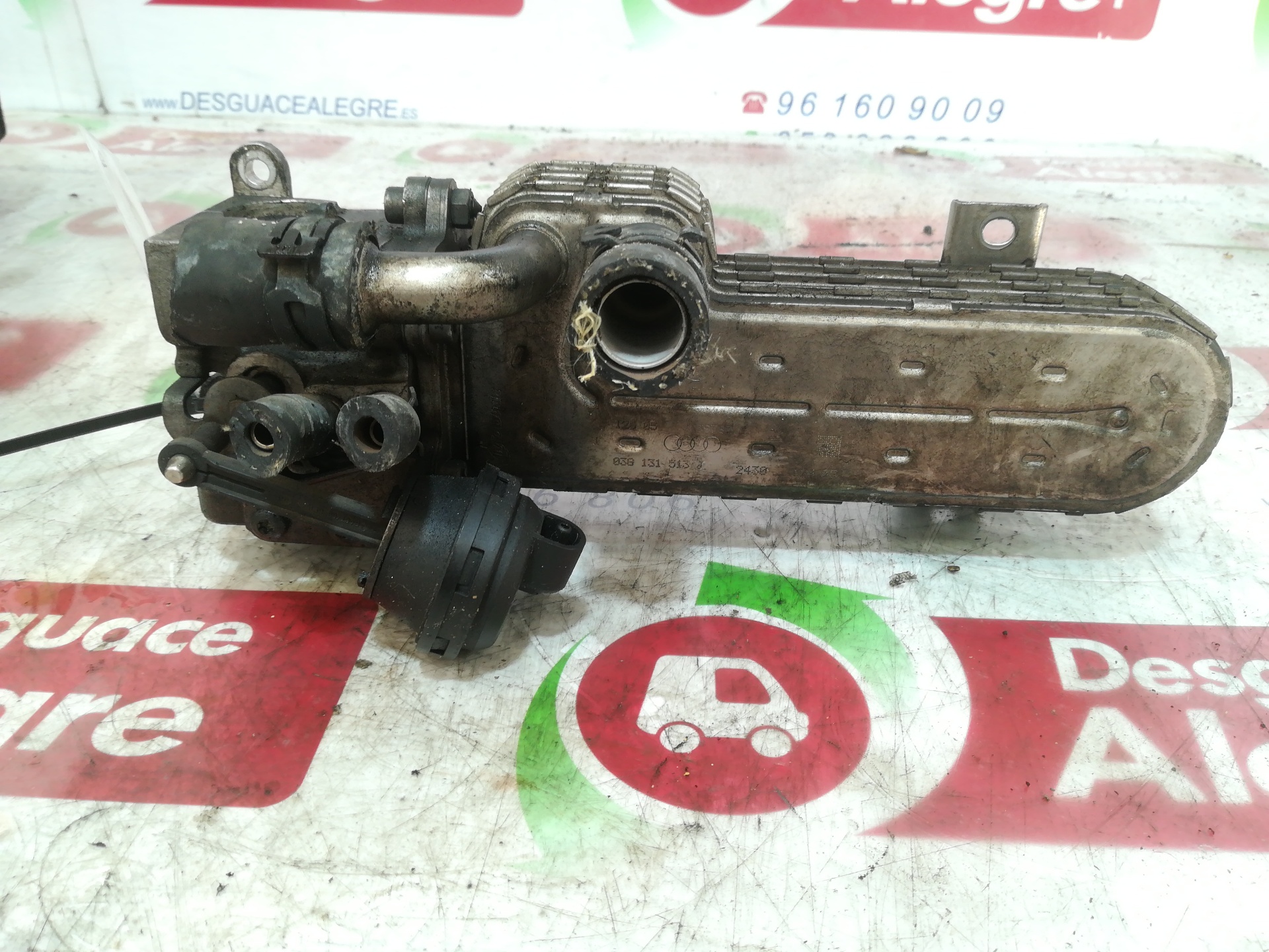 VOLKSWAGEN Passat B6 (2005-2010) EGR hűtő 03G131513J 24809676