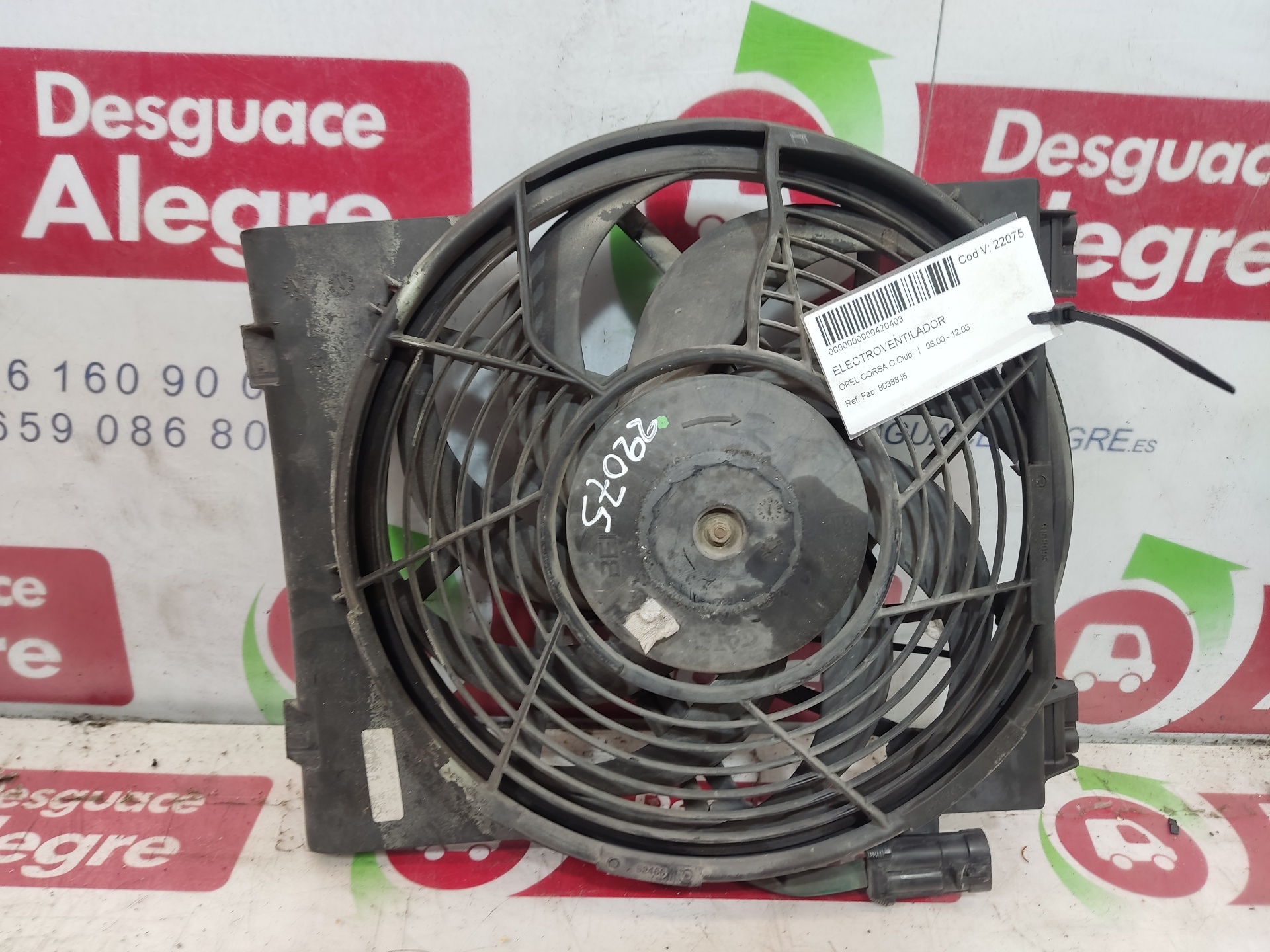 OPEL Corsa C (2000-2006) Difuzorový ventilátor 8038845 24859412
