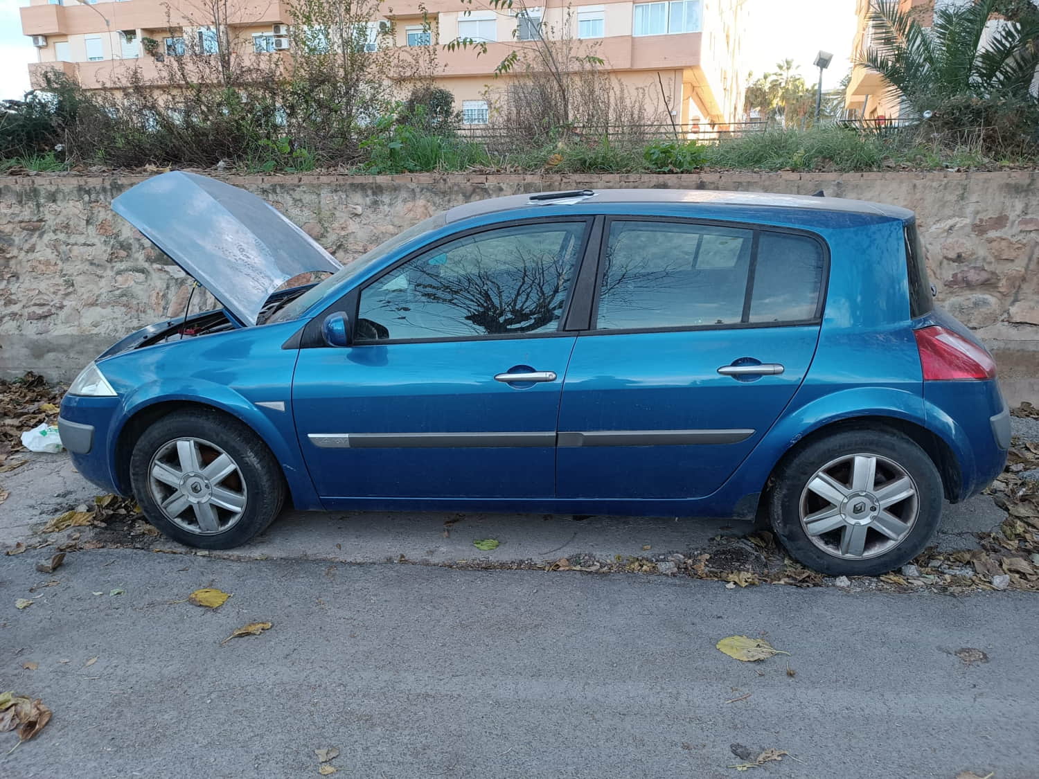 RENAULT Megane 2 generation (2002-2012) Galinės kairės durys 24806564