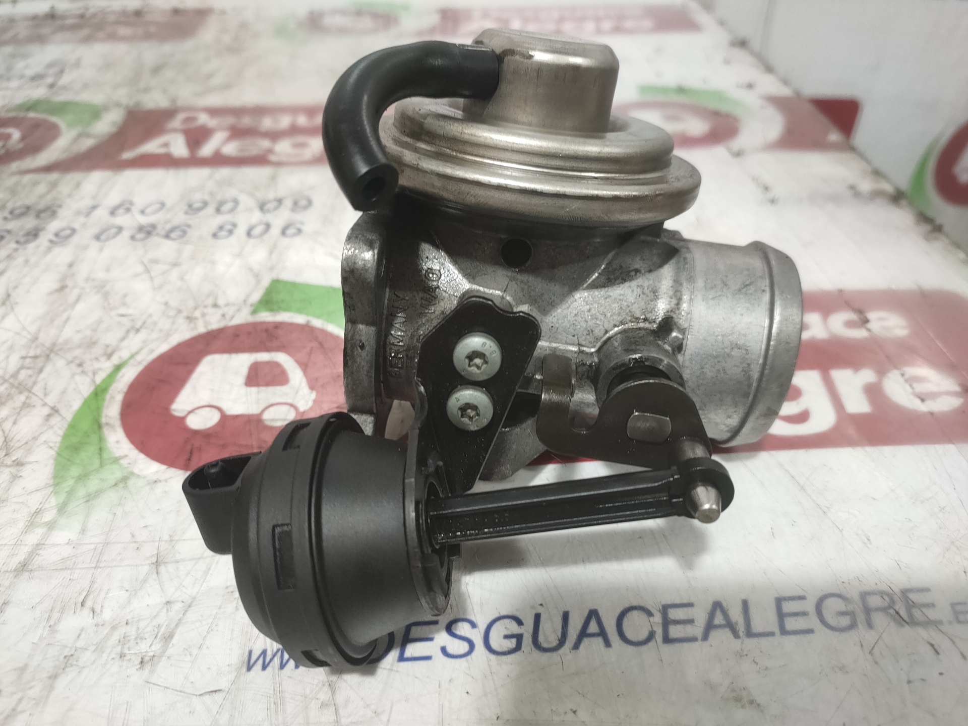 SEAT Ibiza 3 generation (2002-2008) EGR Valve 038131501M 24838835