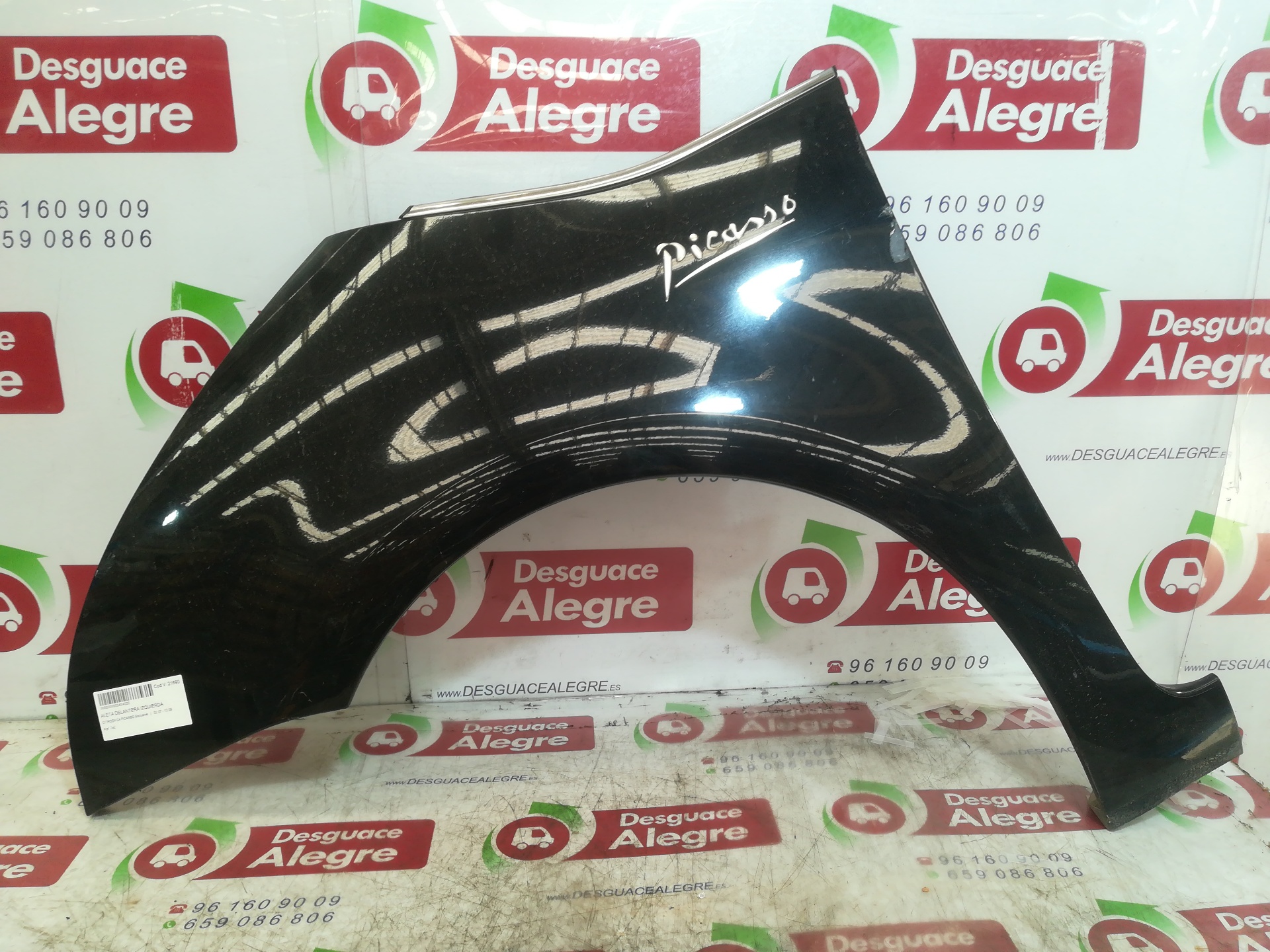 CITROËN C4 Picasso 1 generation (2006-2013) Front Left Fender 24810300